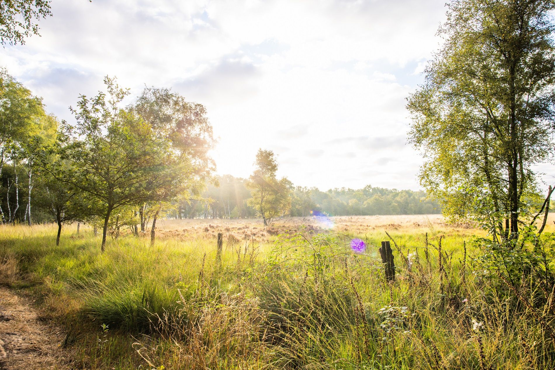 Zwillbrocker Venn nature reserve