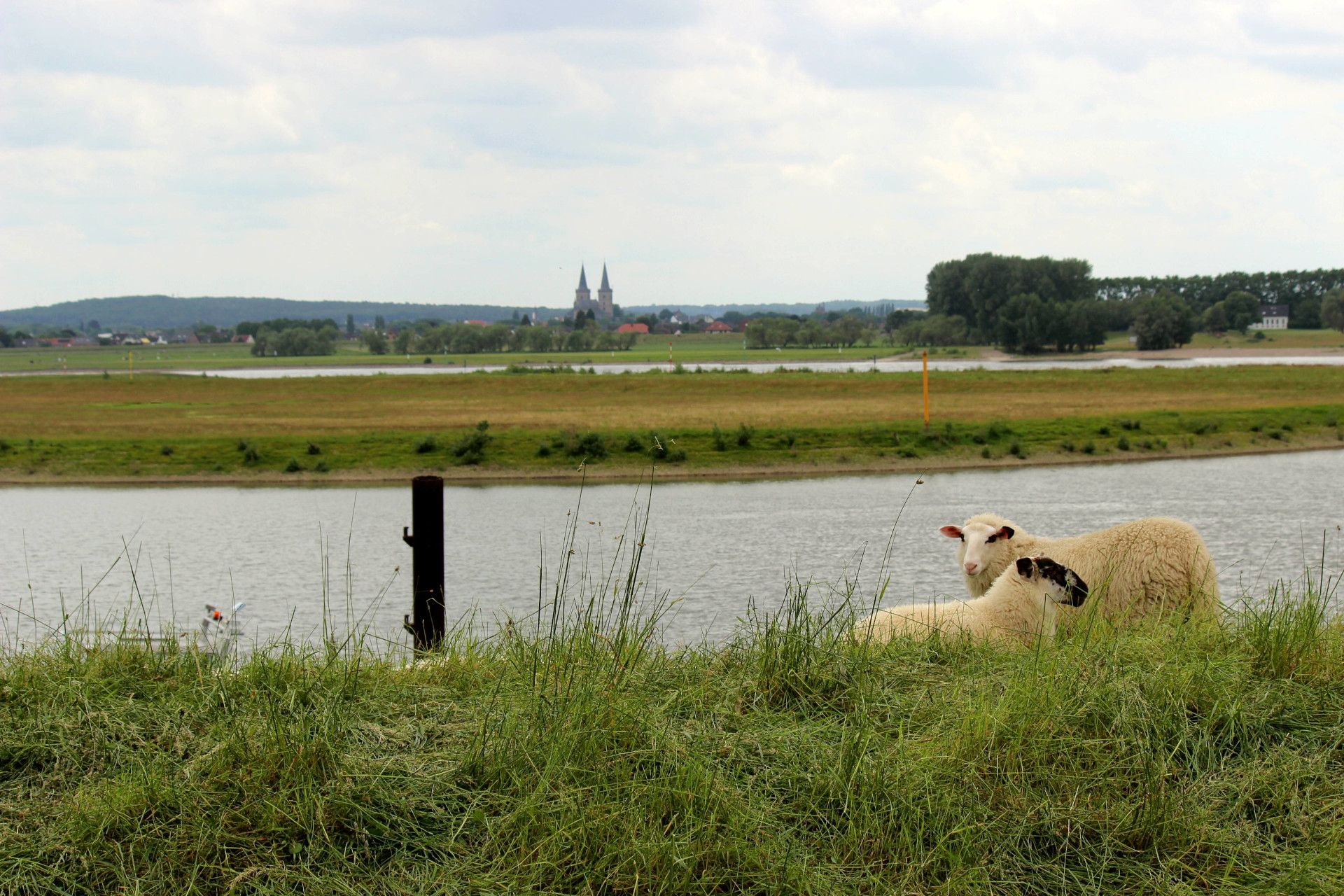 Storchenroute am Niederrhein