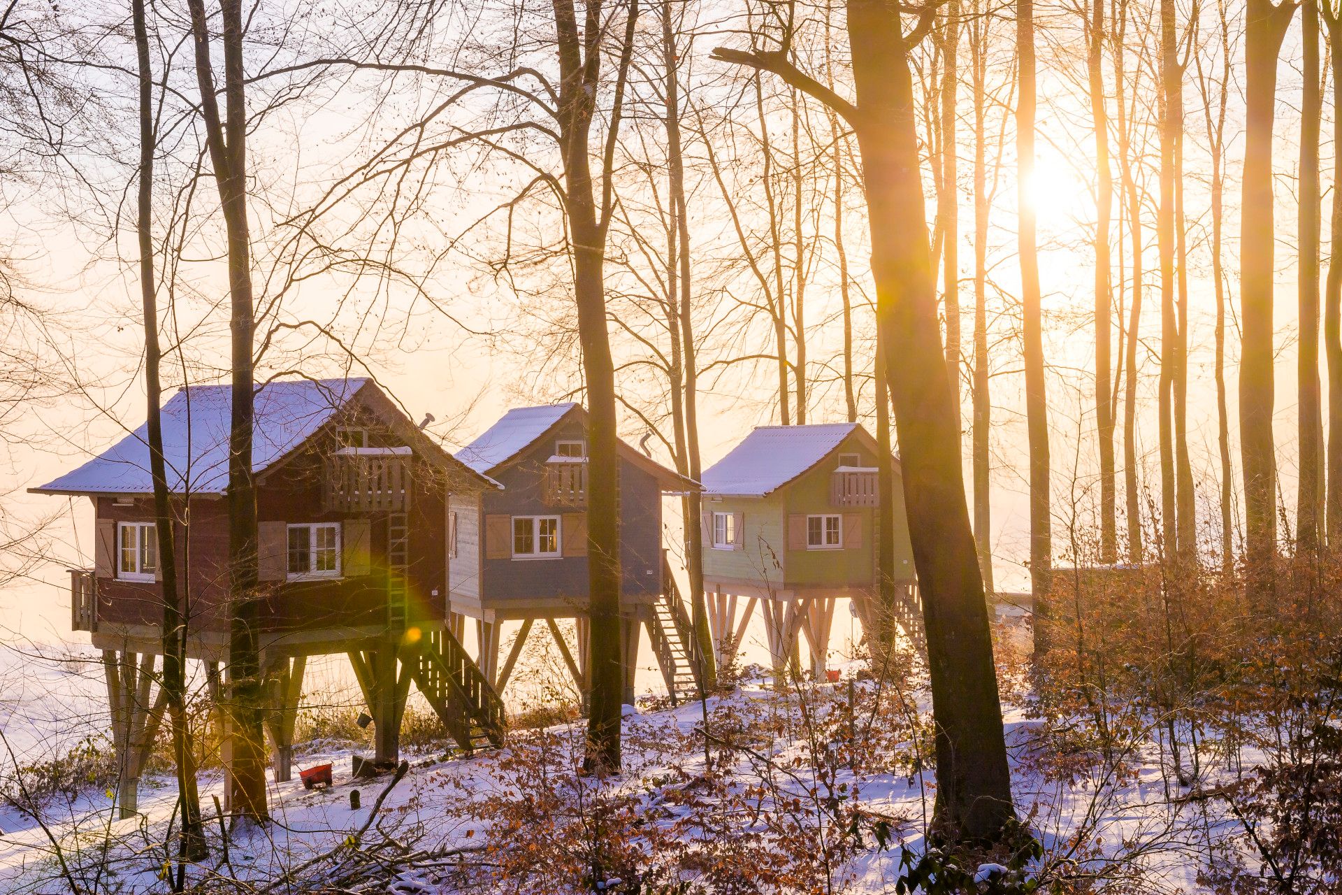 Tree houses, Sorpesee, Sauerland