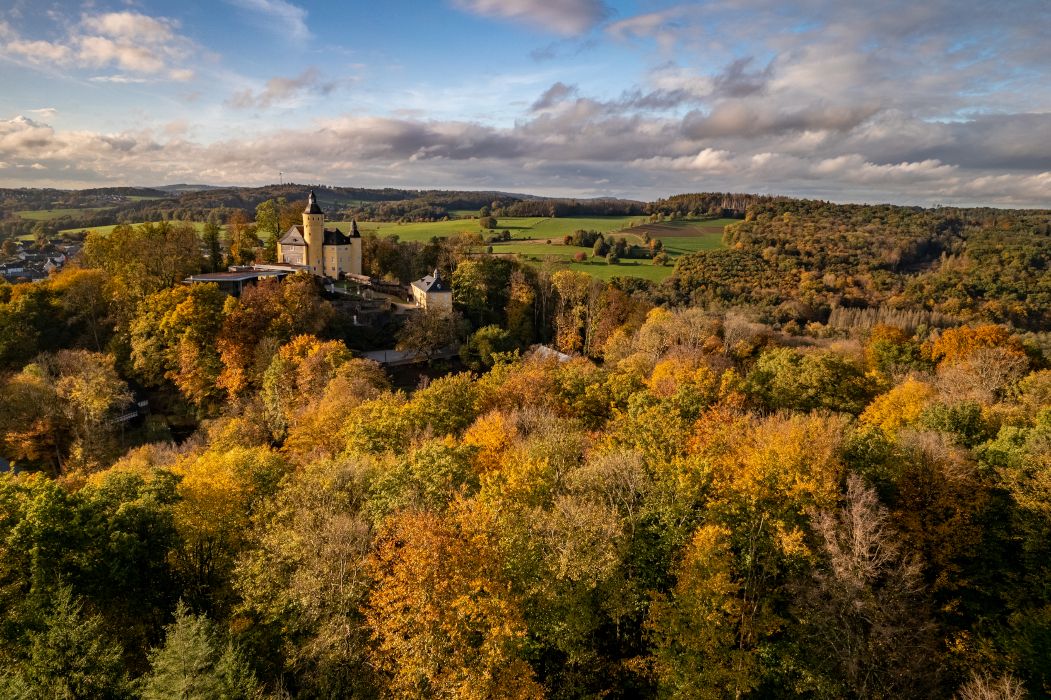 Homburg Castle near Nümbrecht is situated on a hill and is surrounded by many trees