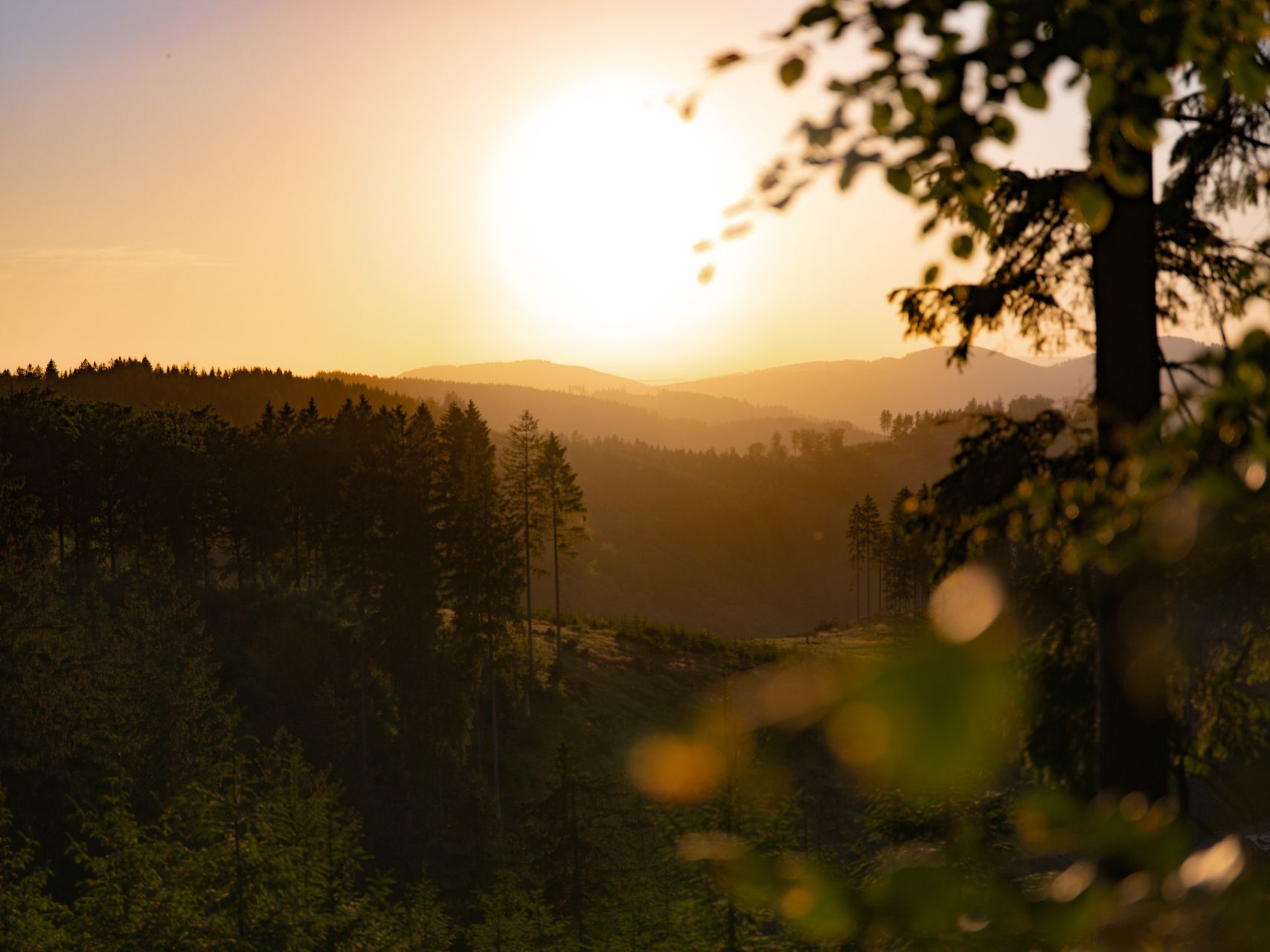 Dusk in the Sauerland Rothaargebirge Nature Park