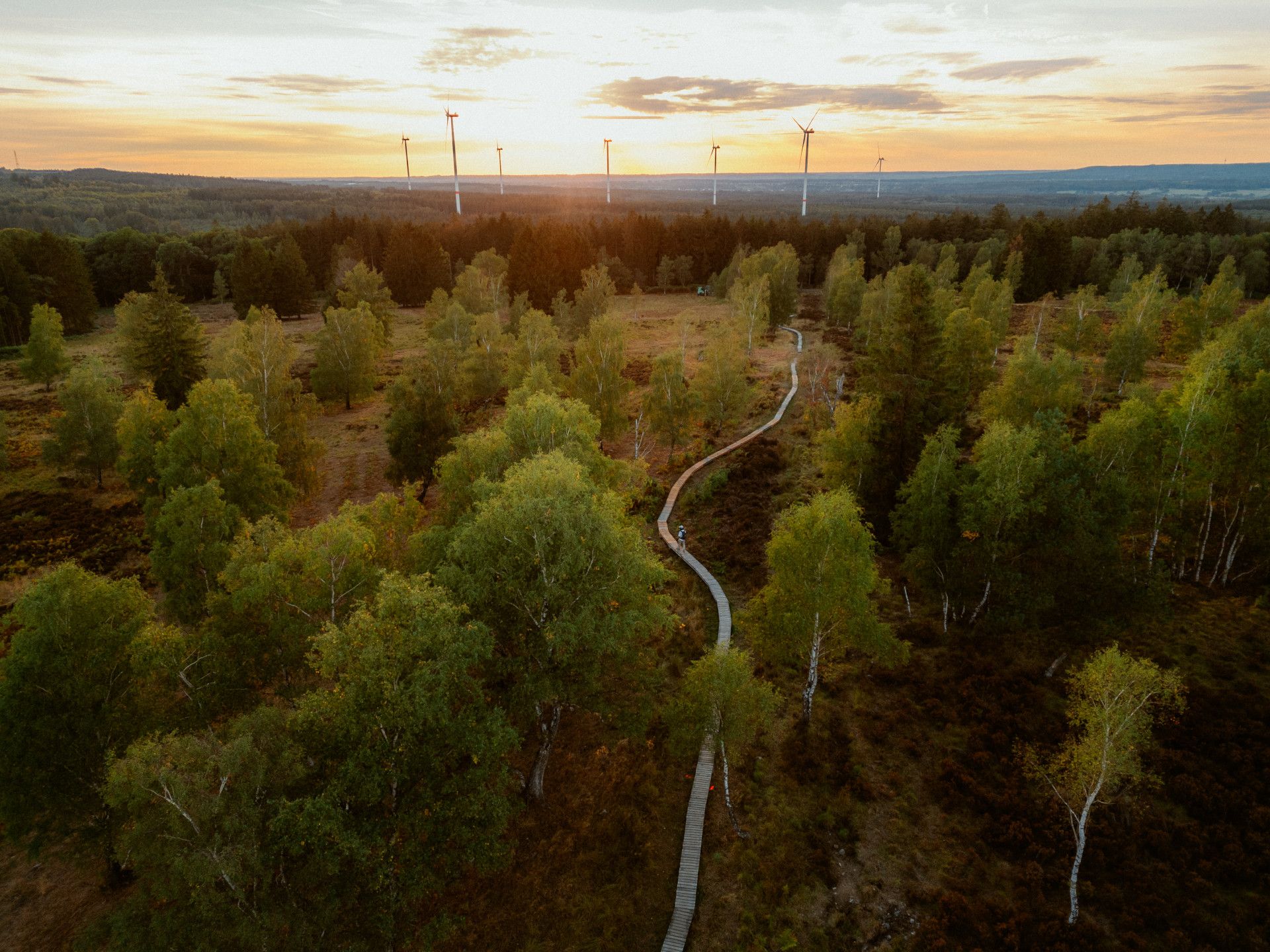 Struffeltroute drone shot Roetgen