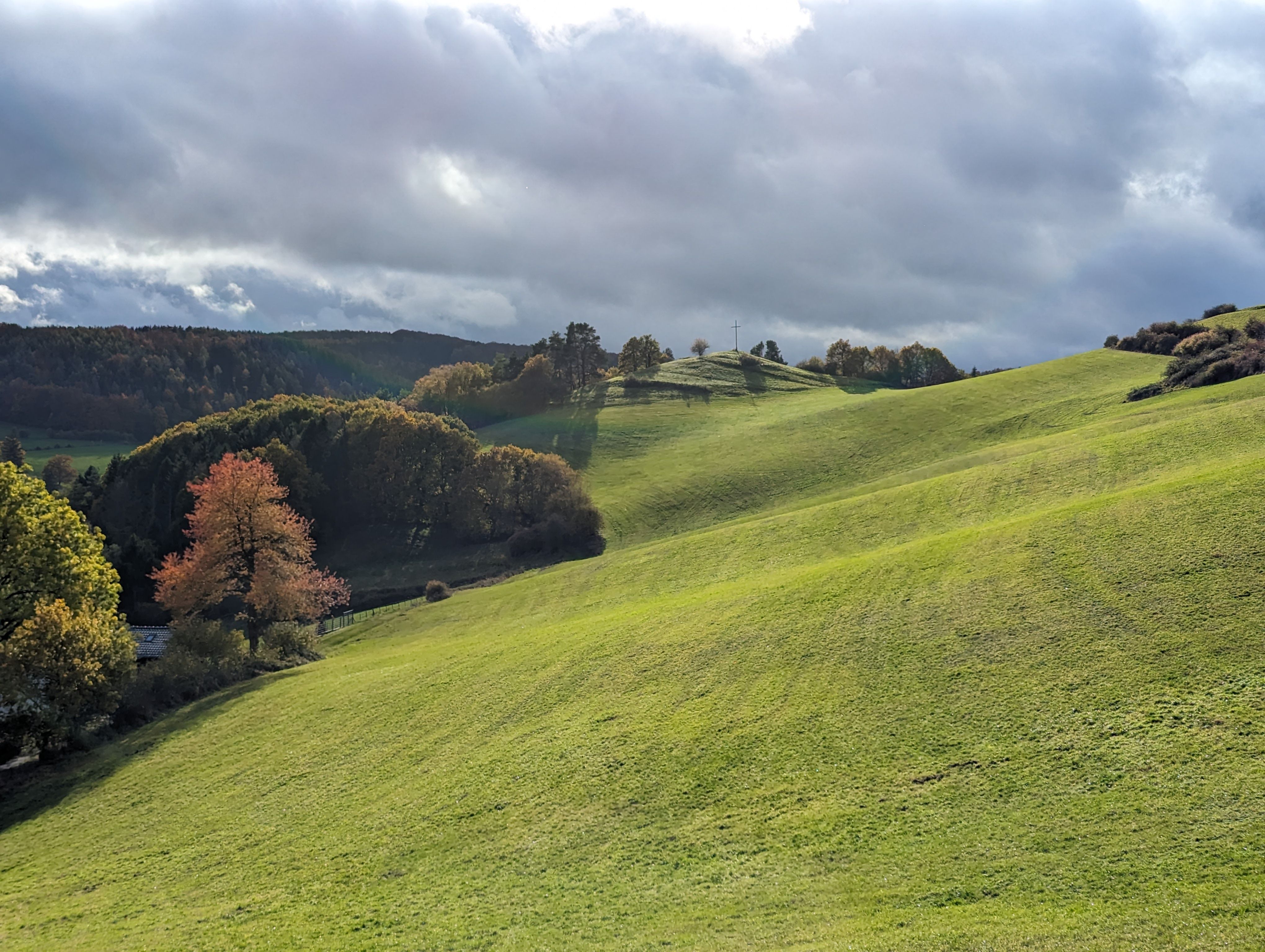 Fields and trees along the Roman Canal hiking trail