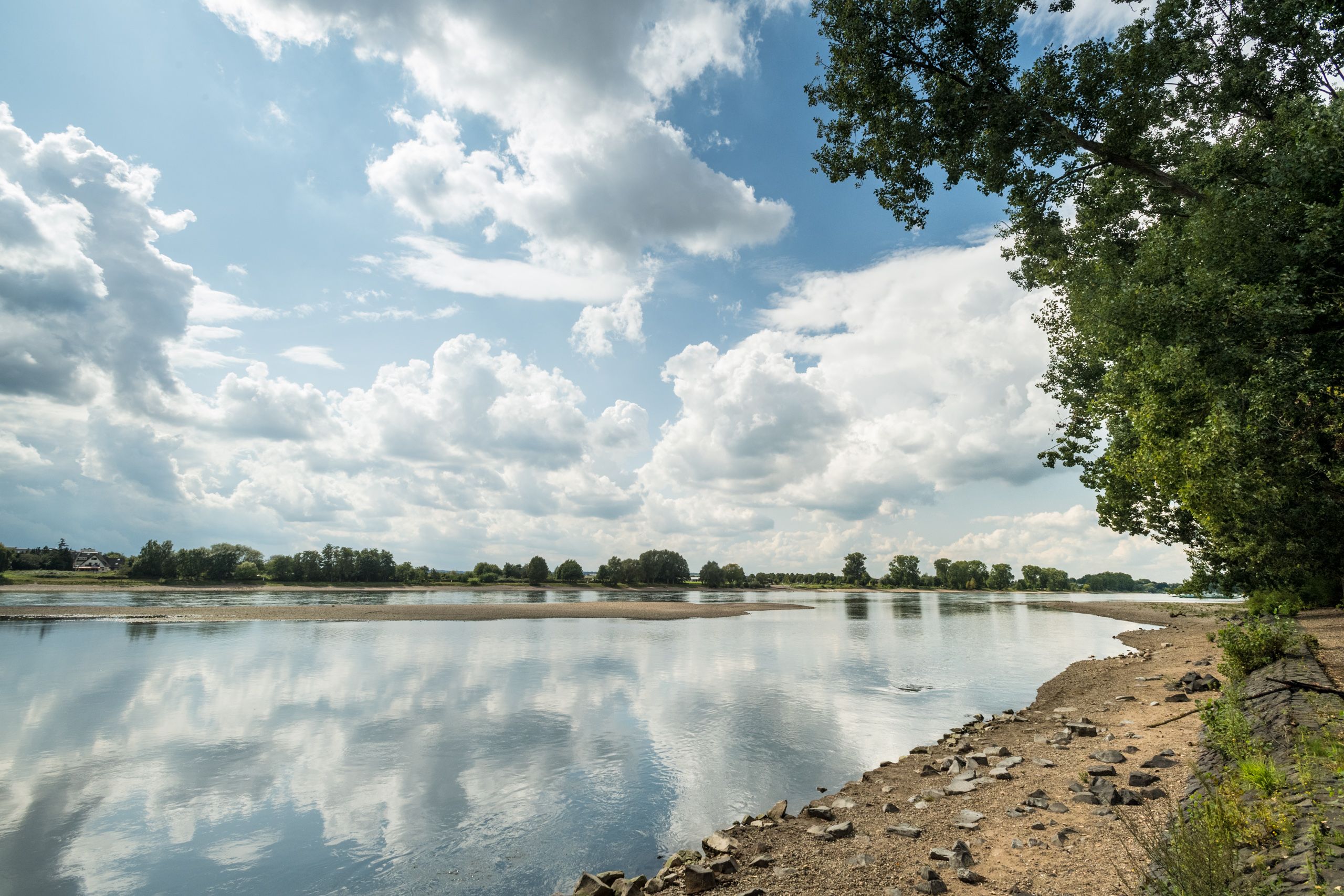 View of the Rhine