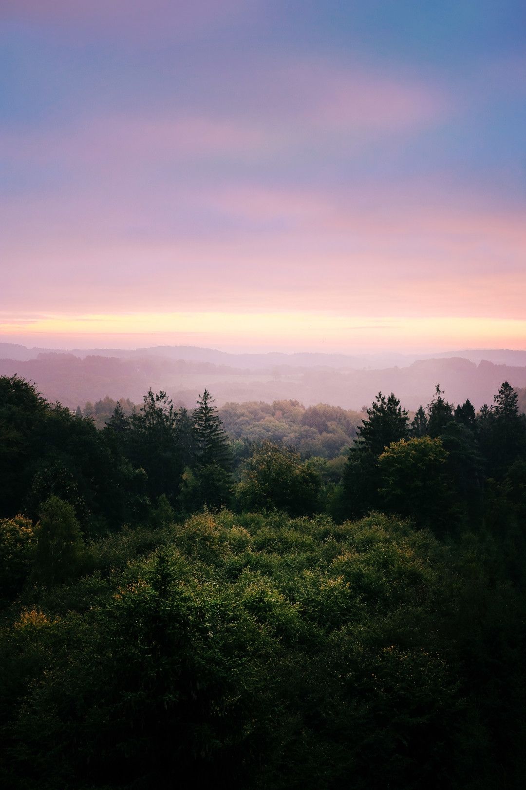 Panarbora Sonnenuntergang