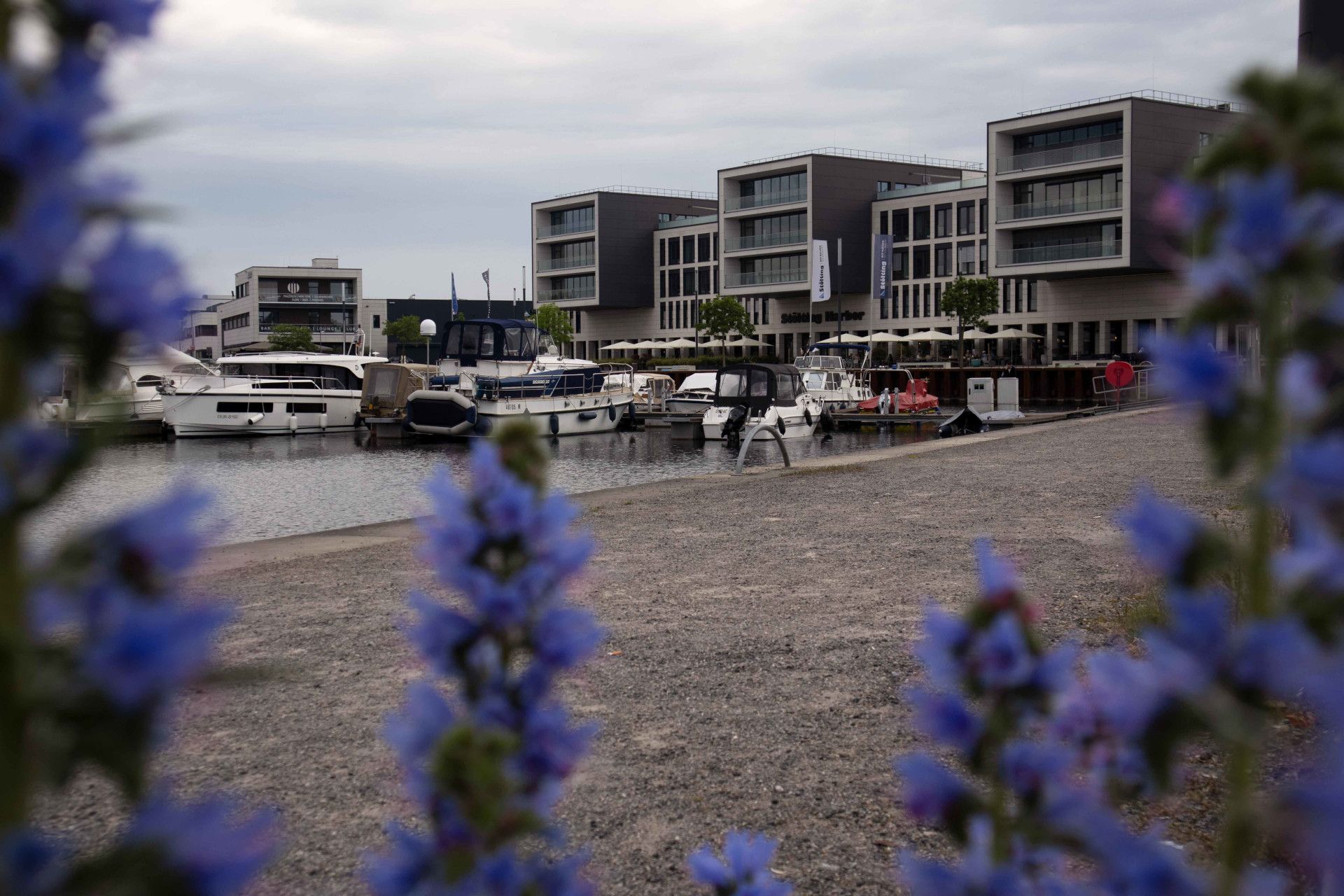 Hafen mit Blumen in Gelsenkirchen