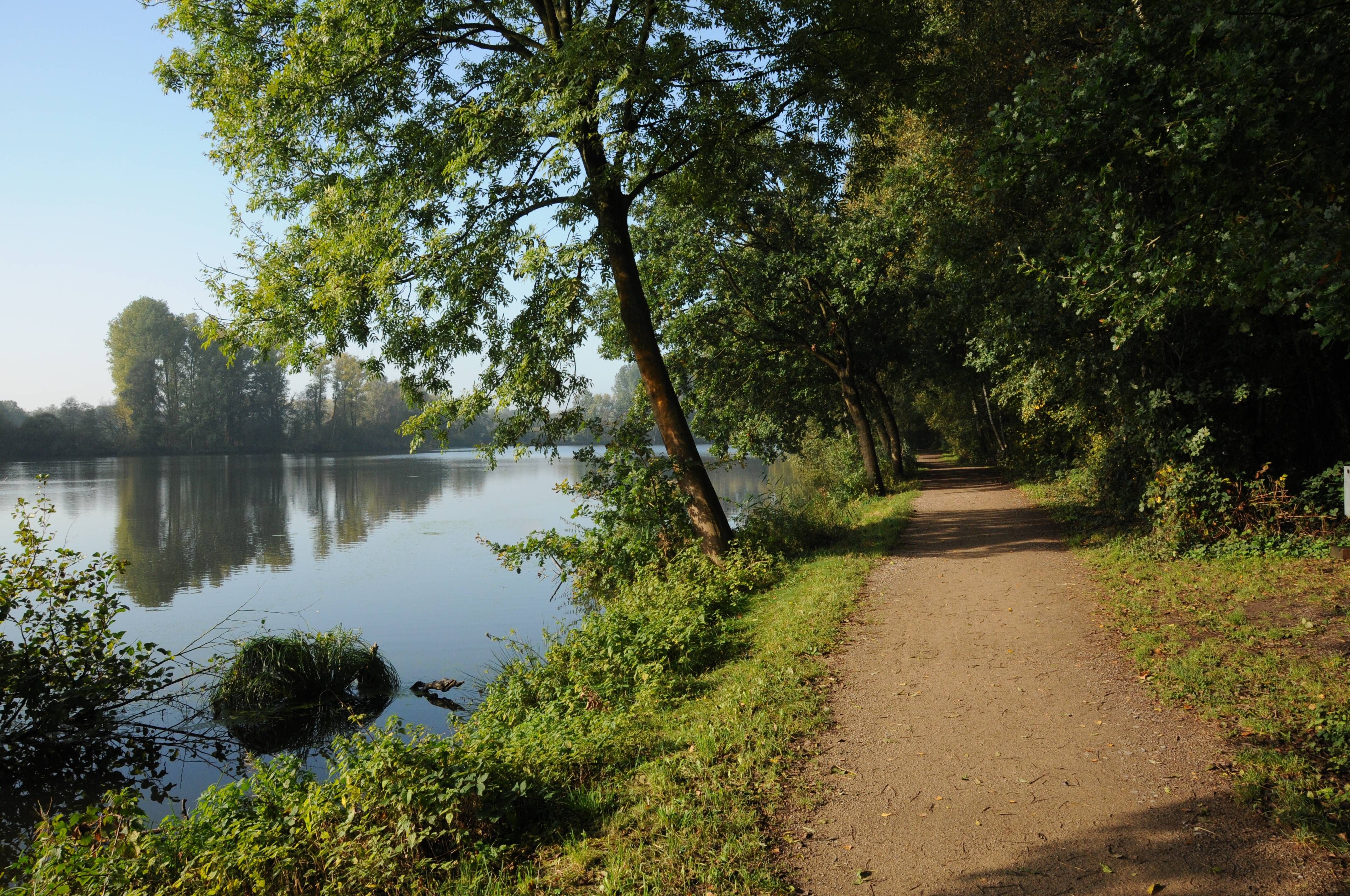 By the water, Schwalm-Nette Nature Park