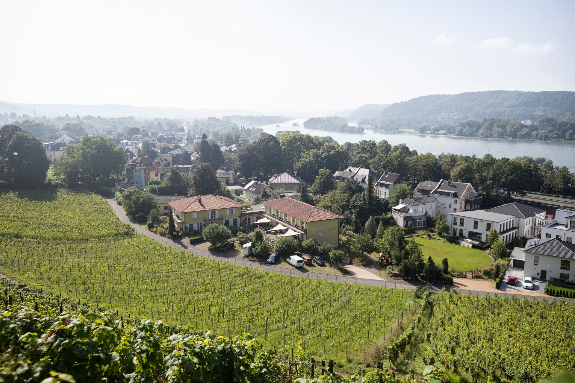 Weinberge im Siebengebirge, Rhein-Sieg-Kreis