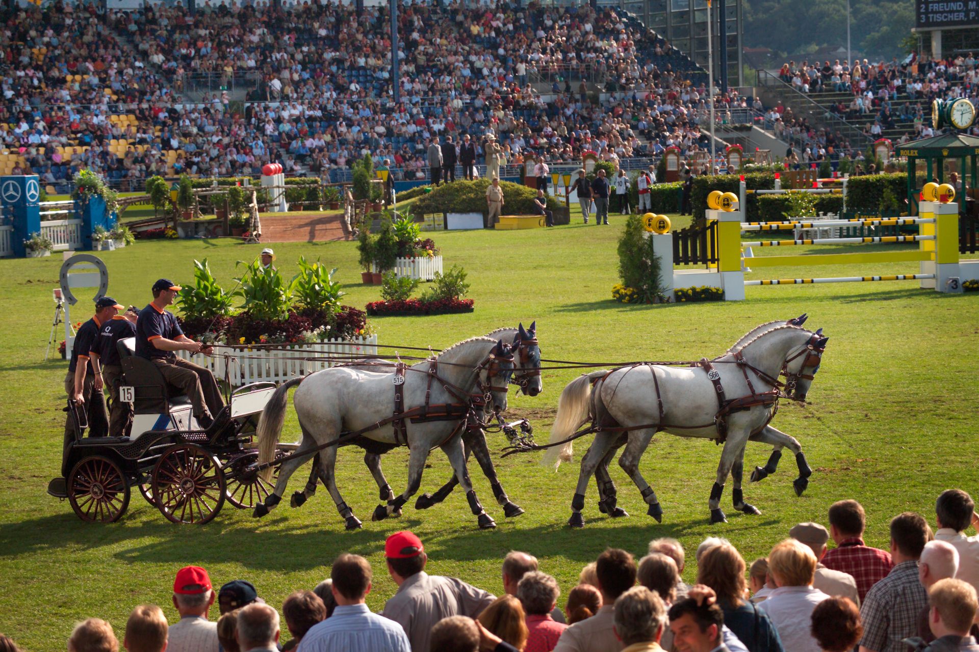 Driving a carriage is one of the five disciplines at the CHIO Aachen