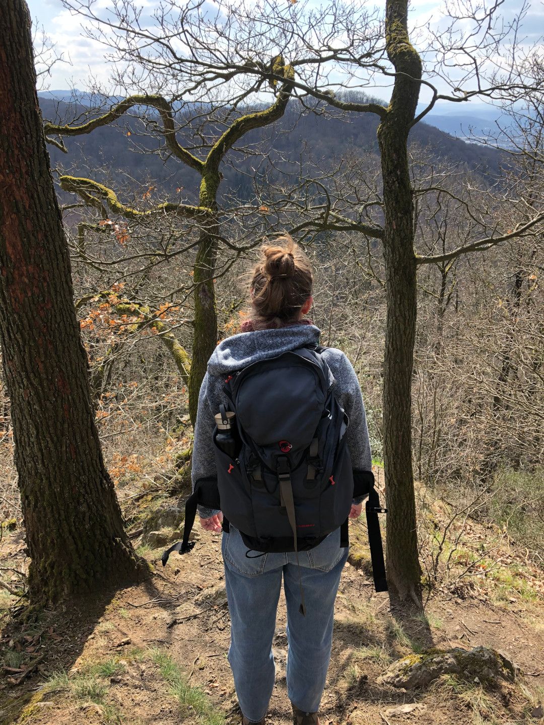 Beethovenwanderweg Blick aufs Siebengebirge