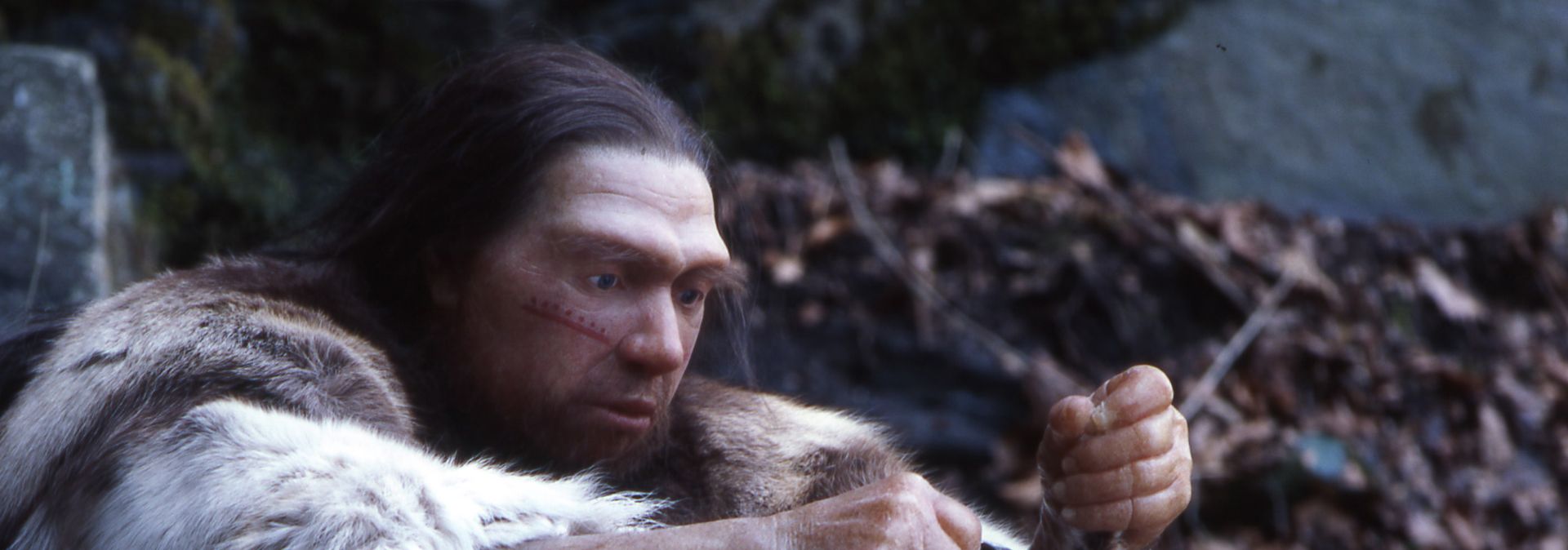 The Neanderthal man is the star of the Neanderthal Museum