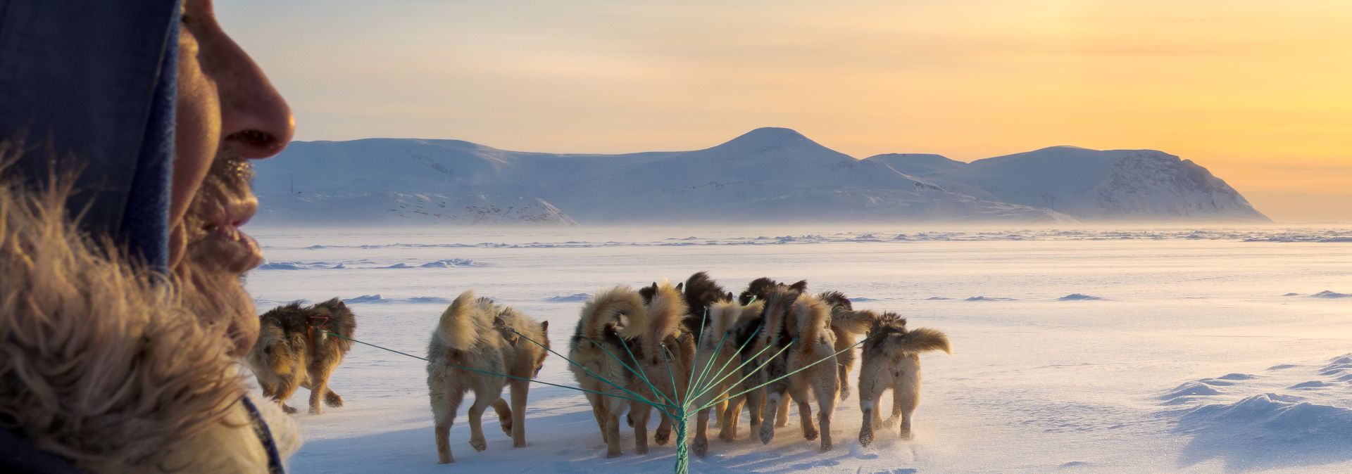 The exhibition provides insights into a foreign culture: one picture shows a hunter with a dog sled on the ice of Melville Bay near Kullorsuaq