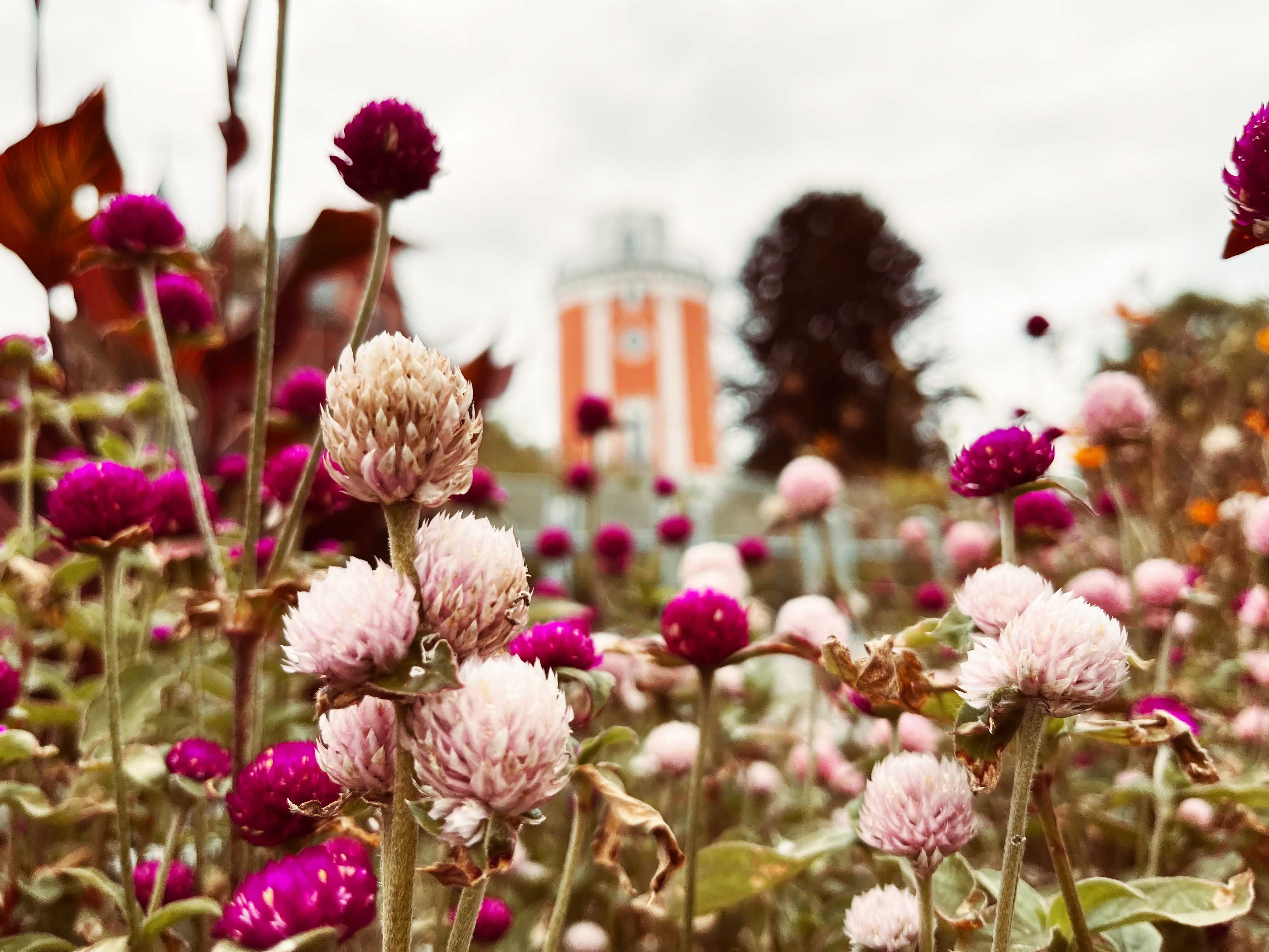 Elisenturm in the Wuppertal Botanical Garden