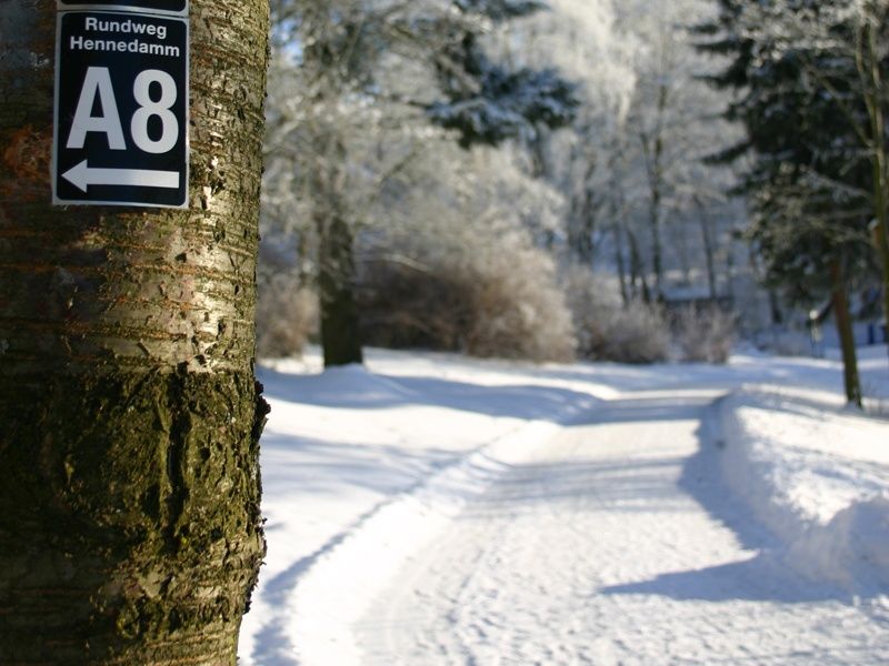 Hennesee winter hiking trail