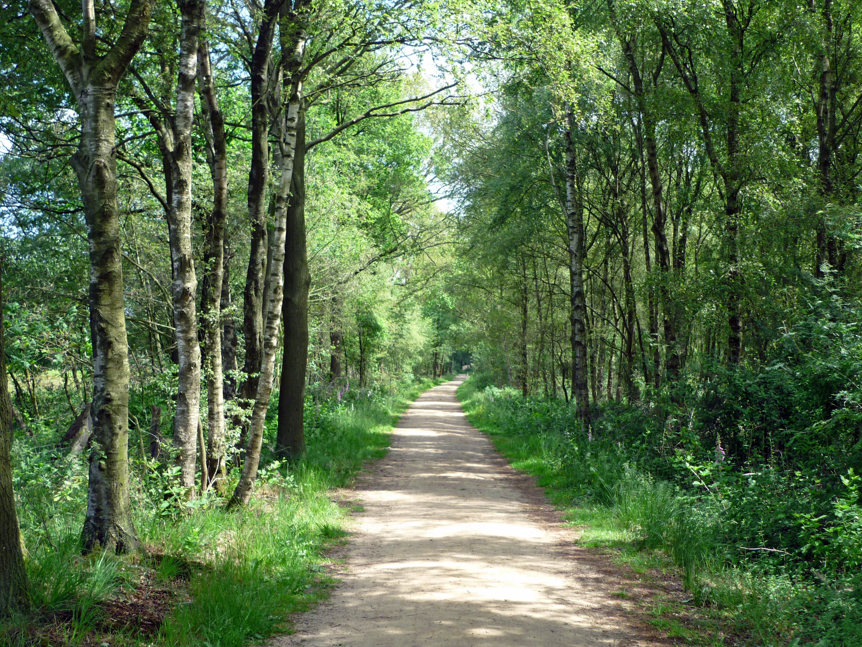 hiking Zwillbrocker Venn Vreden