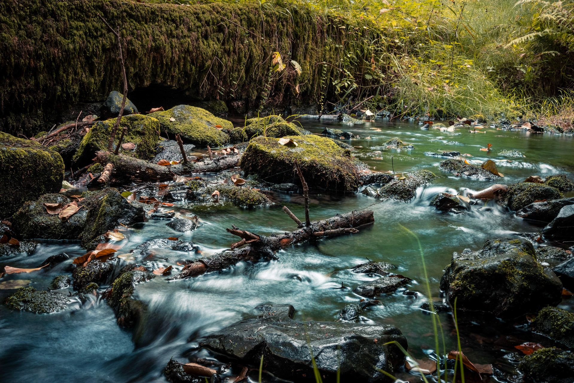 Silberbachtal im Teutoburger Wald