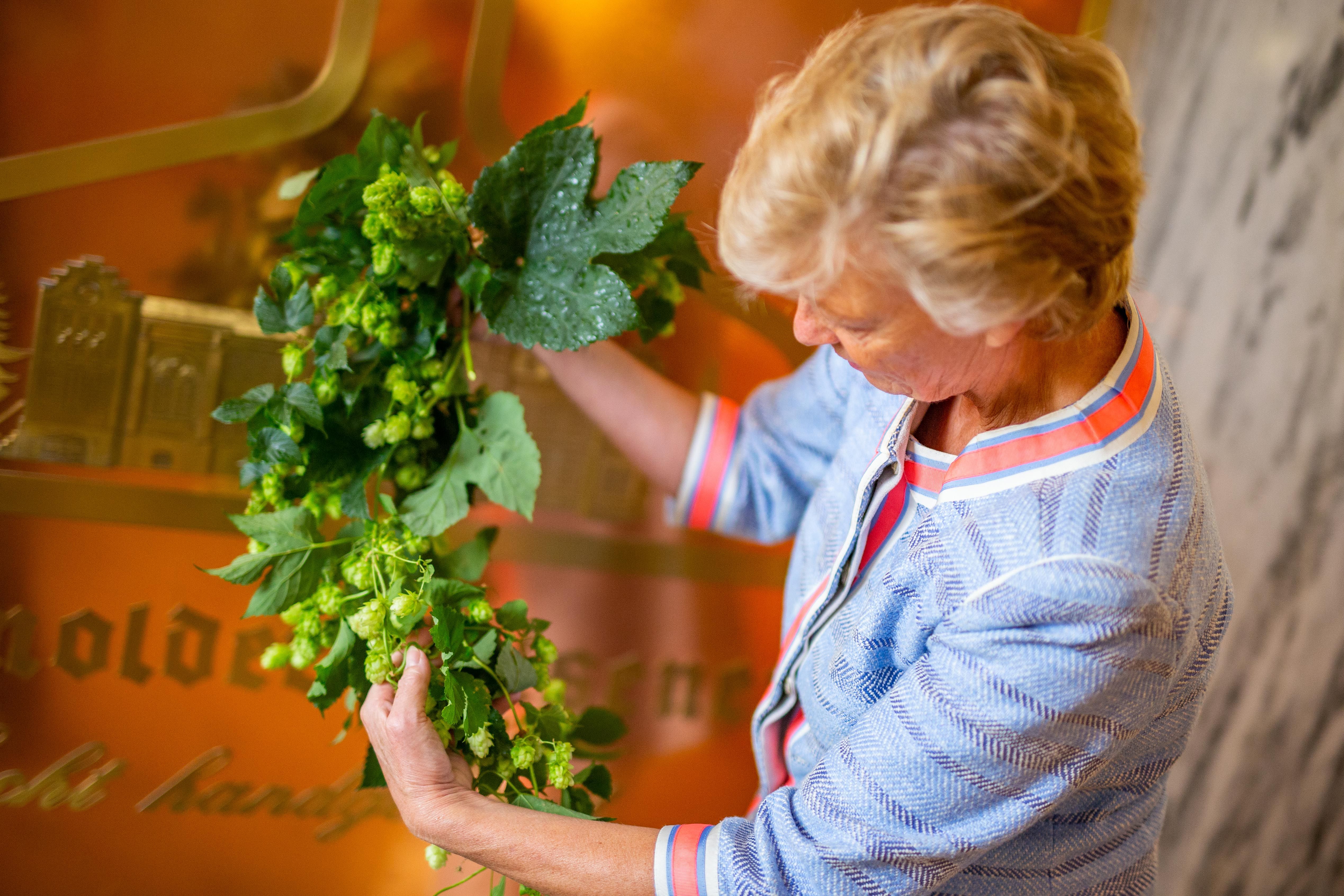 Eine Frau hält eine Hopfenpflanze in der Hand.