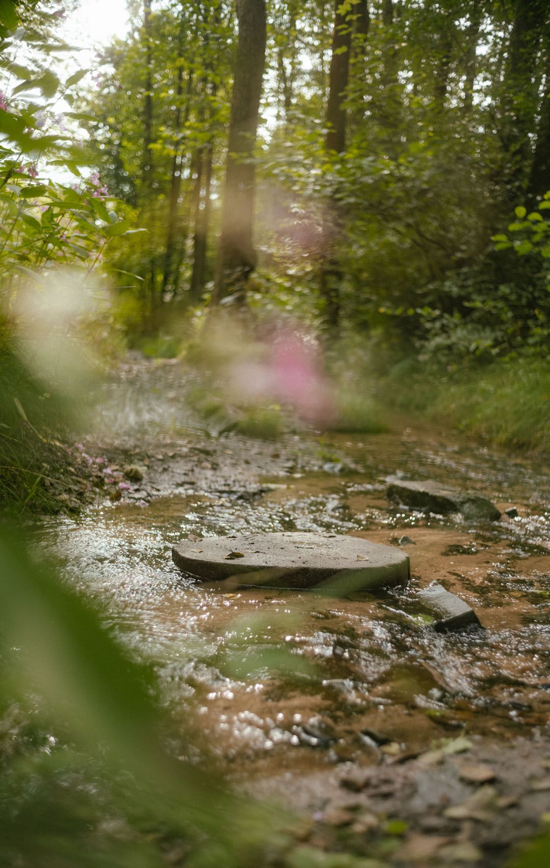 Nature in the Bergisches Land