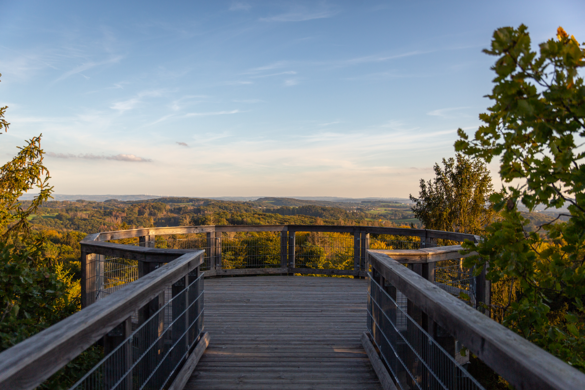 Panarbora treetop walk