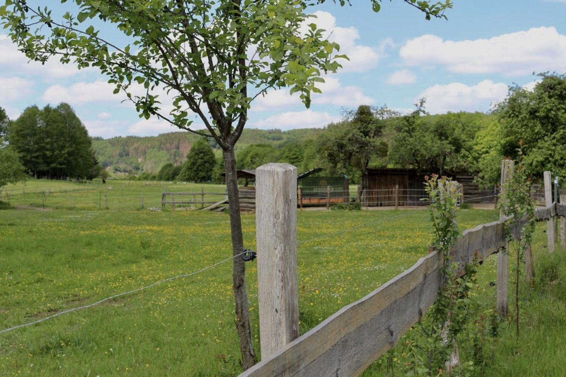 Tourismus NRW e.V., Obstwiese Mäanderweg