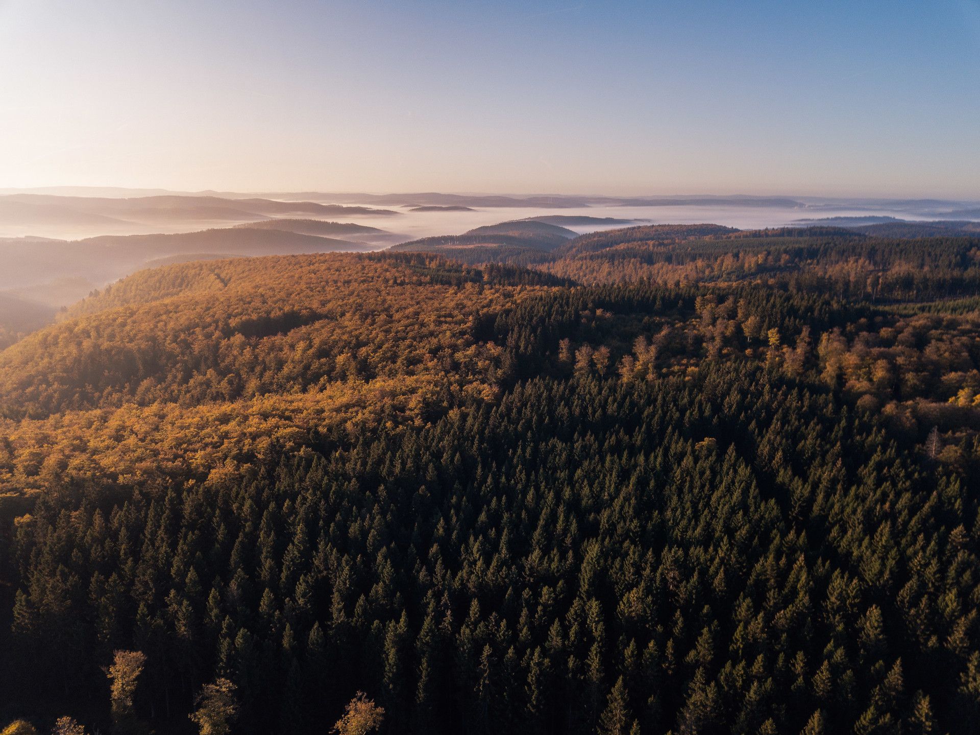 View of the forests around the Rothaarsteig in Siegen-Wittgenstein.