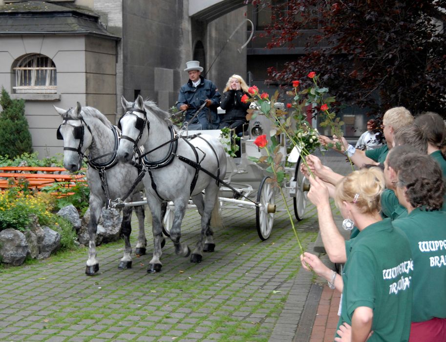 Wedding carriage