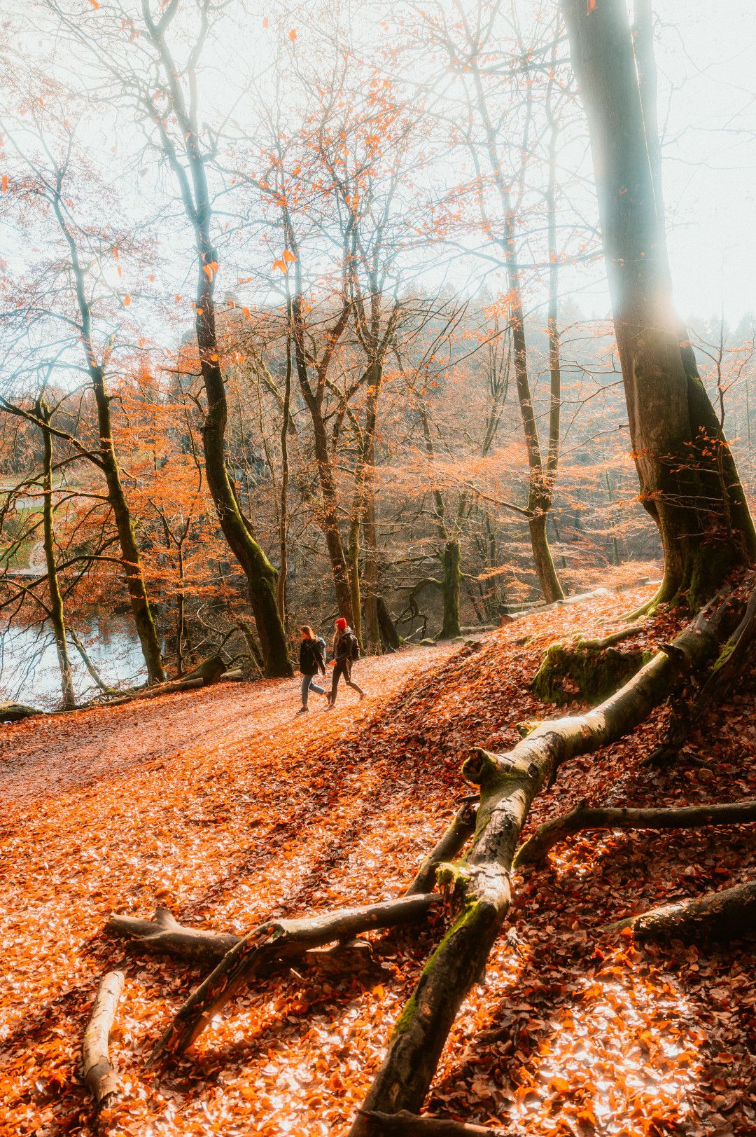 Herbstwanderung Horn Bad Meinberg