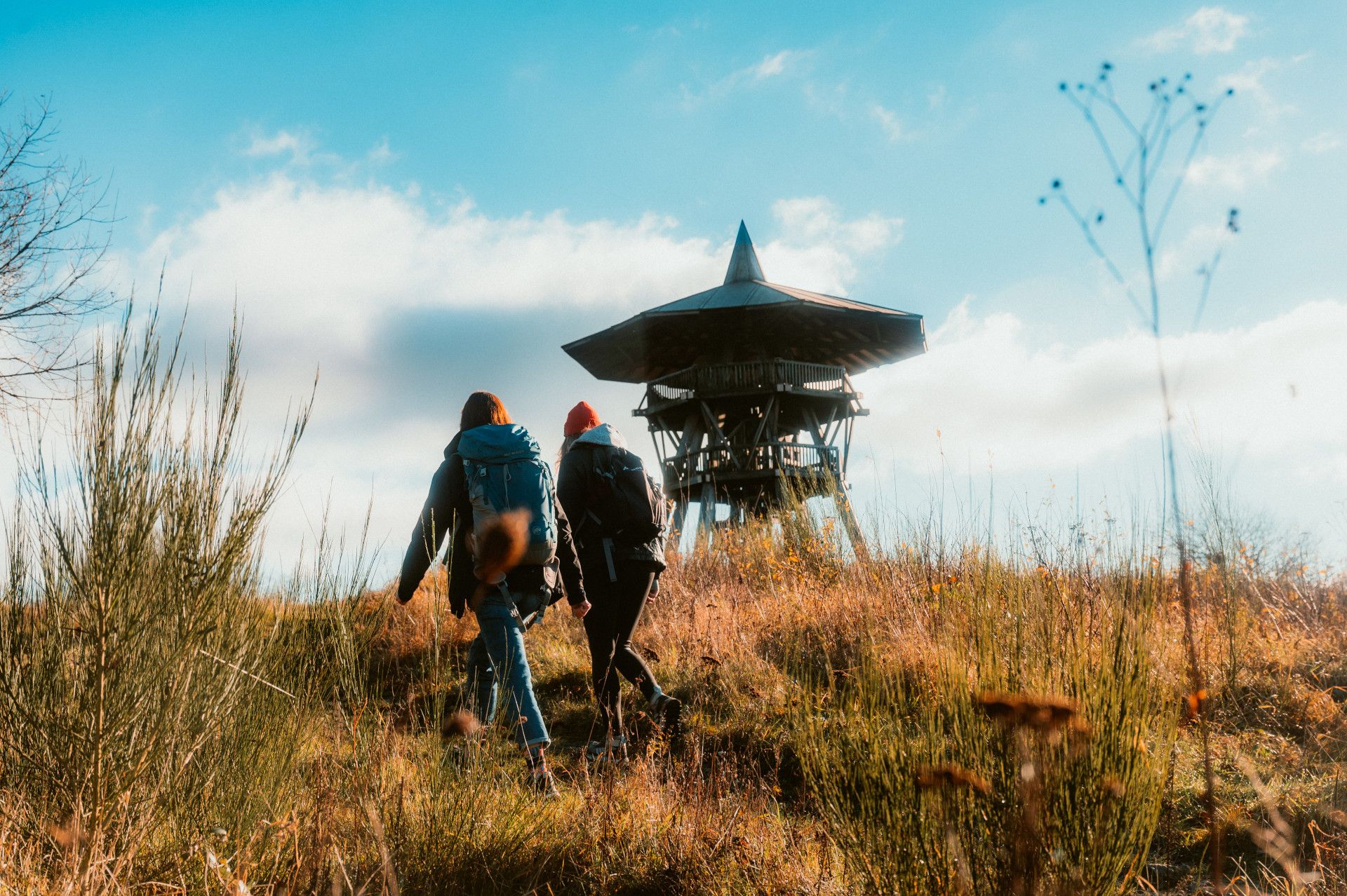 Wandernde im Herbst am Eggeturm auf dem Velmerstot im Teutoburger Wald