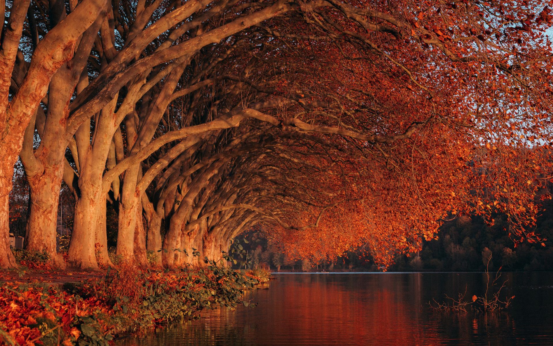 Herbststimmung am Baldeneysee in Essen