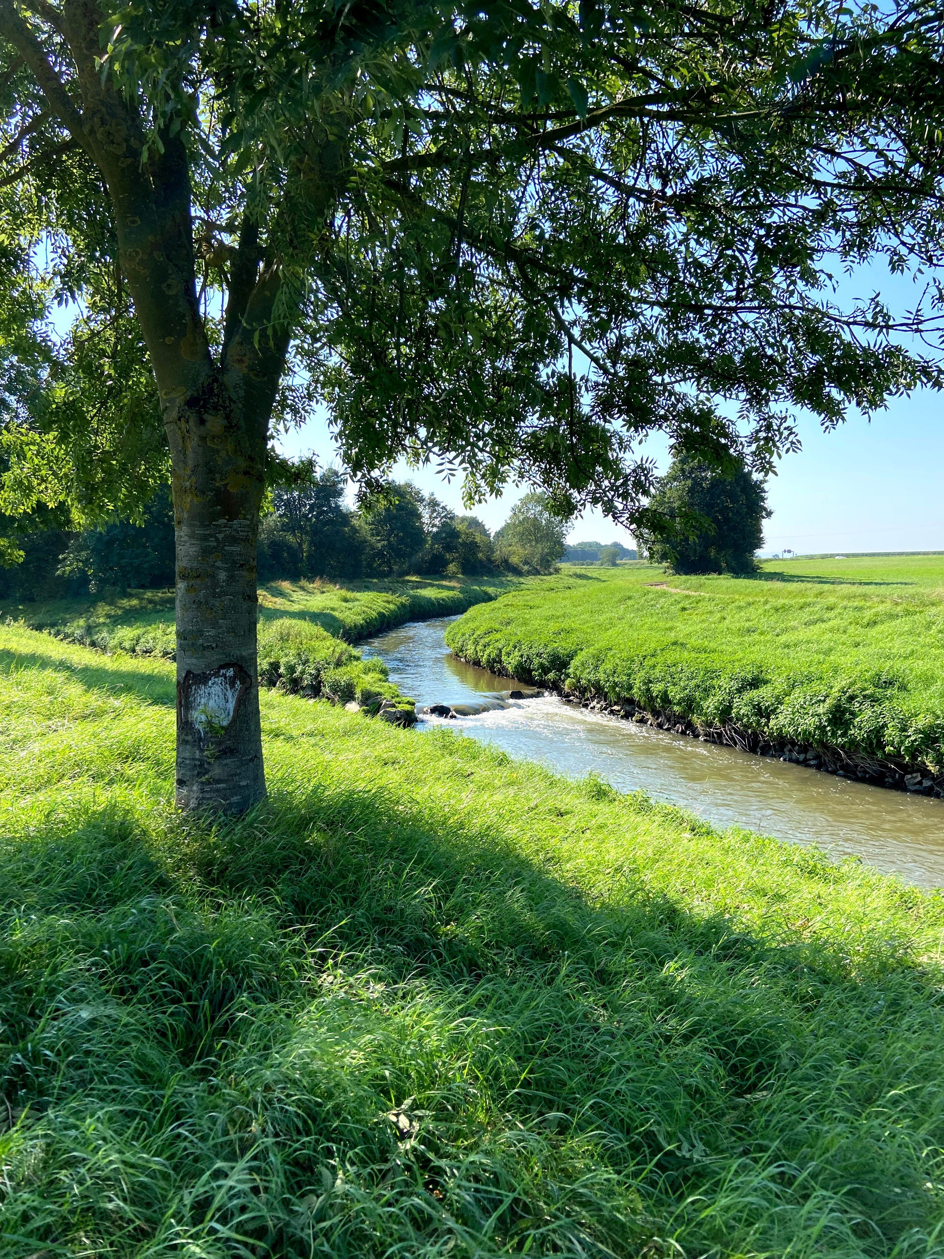 Swist estuary in the Erft near Bliesheim