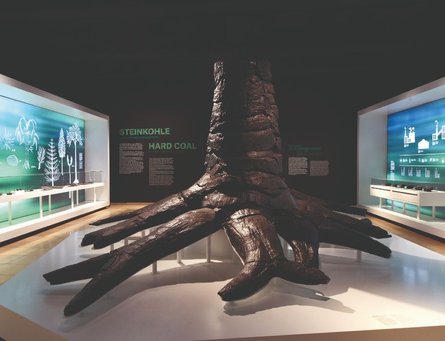 The remains of the trunk of a scale tree from the Carboniferous period is one of the attractions of the German Mining Museum