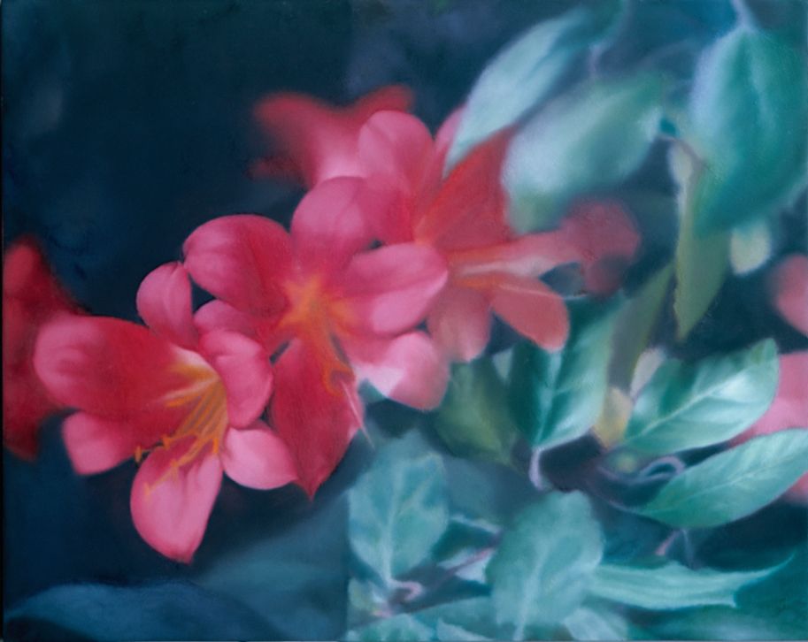 Gerhard Richter, Flowers, 1977, oil on canvas, 40 x 50 cm, private collection