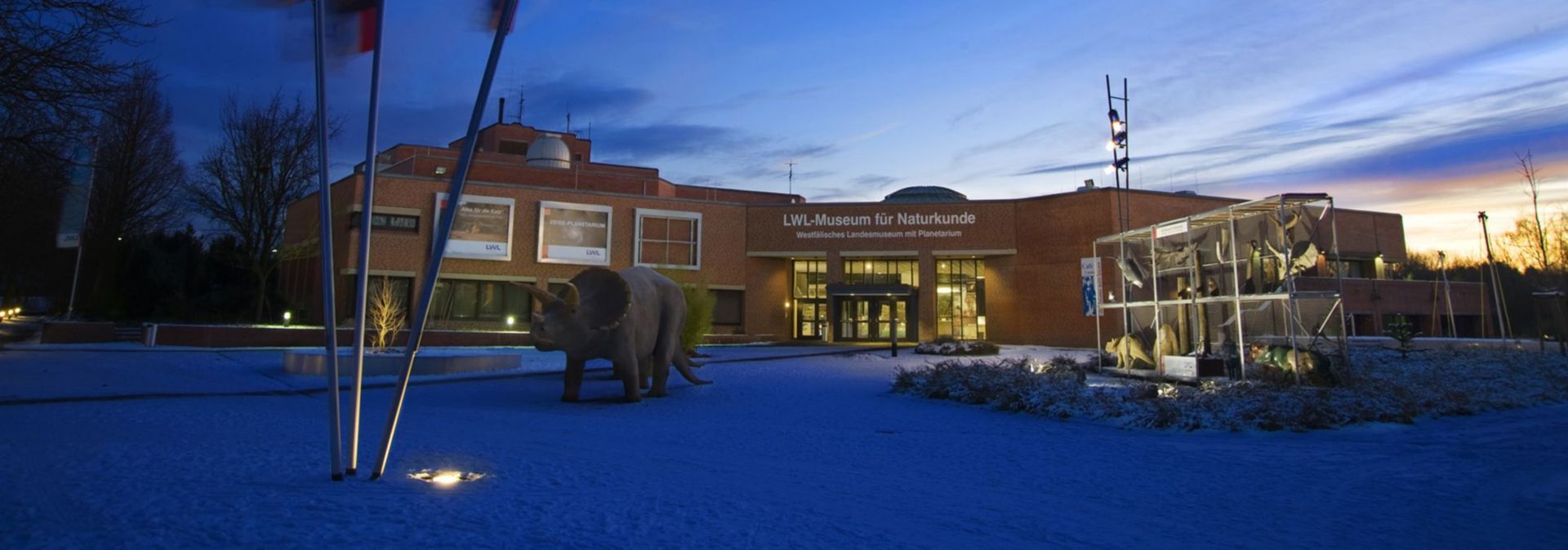 Two permanent exhibitions and regular special shows at the LWL Museum of Natural History provide insights into the world of animals and plants