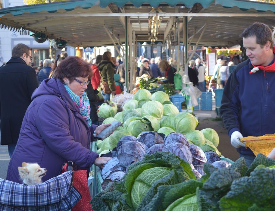 At the historic Kappesmarkt, people talk about cabbage cultivation, processing and preparation