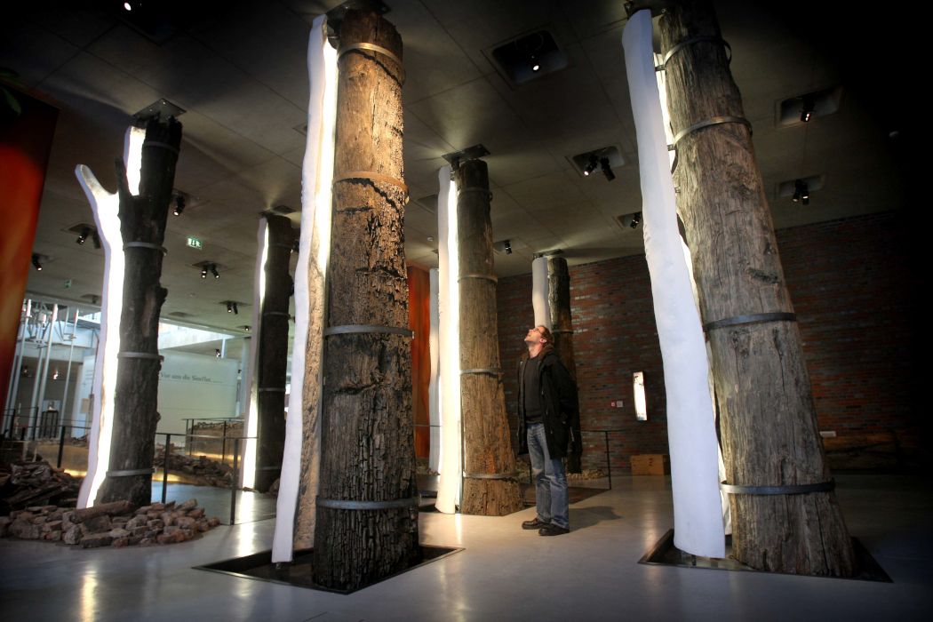 One of the special exhibits at the LWL Museum of Archaeology and Culture is a petrified forest of citations in the entrance area