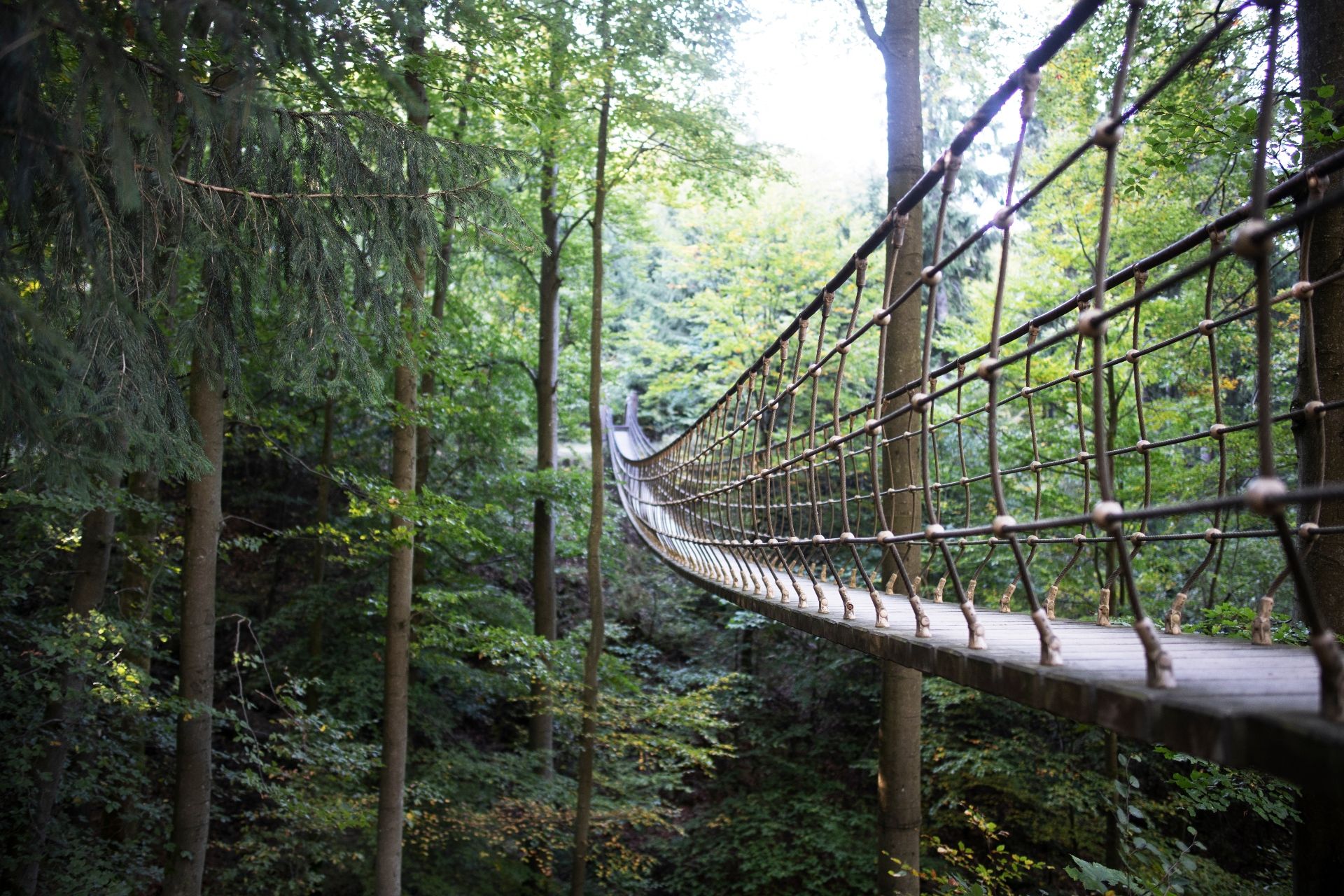 Rothaarsteig Hängebrücke Kühhude