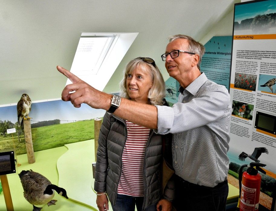 Permanent exhibition Auengeschichten