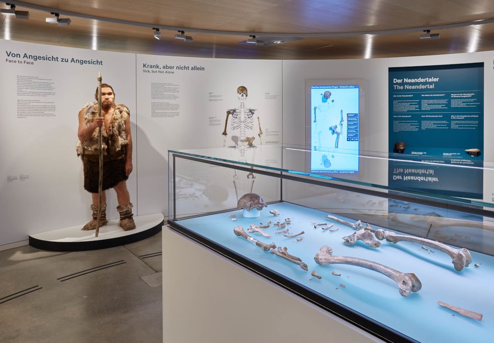 Guests can get closer to the world-famous Neanderthal man in a rotunda in the museum foyer