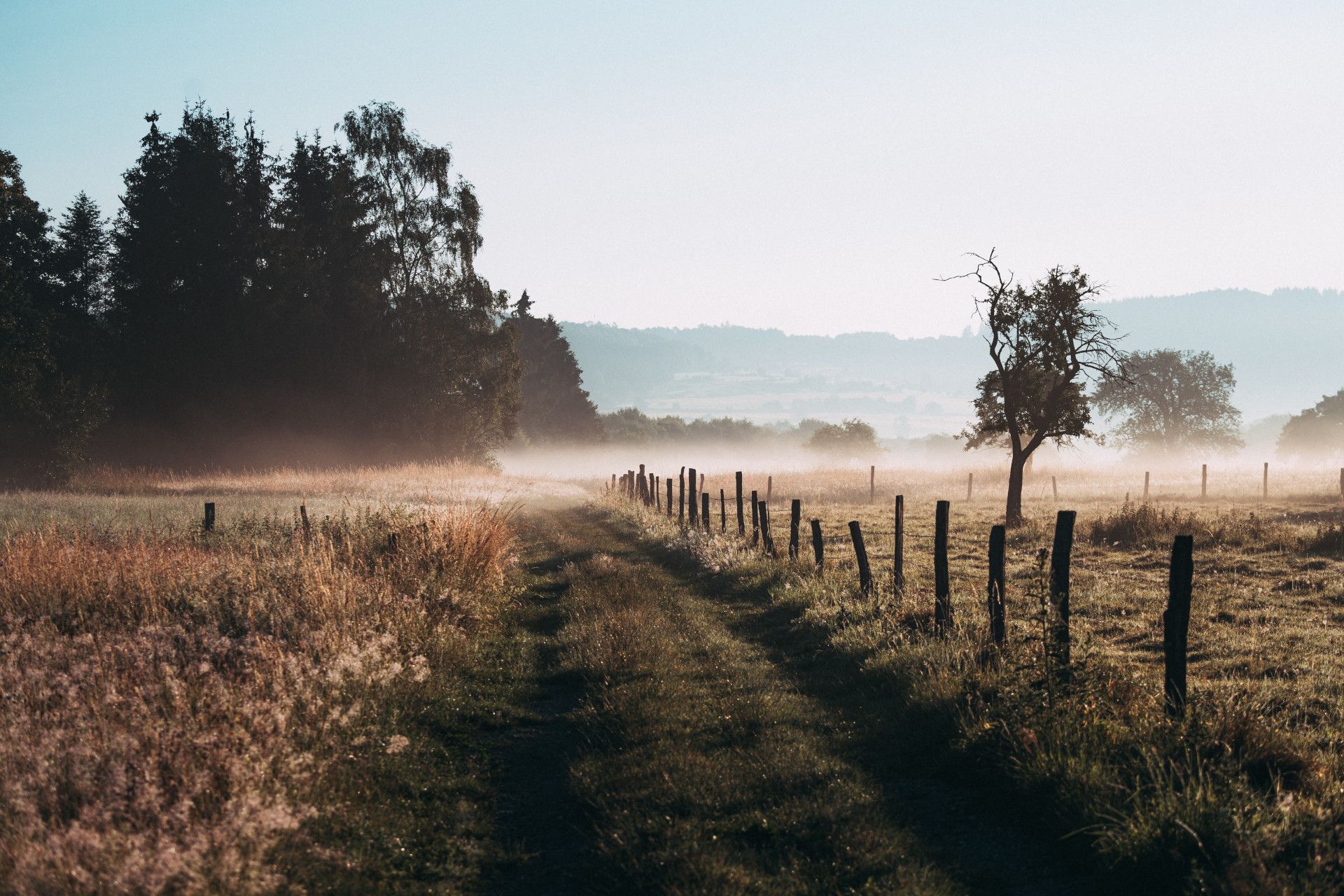 Weierbachtal Morgen