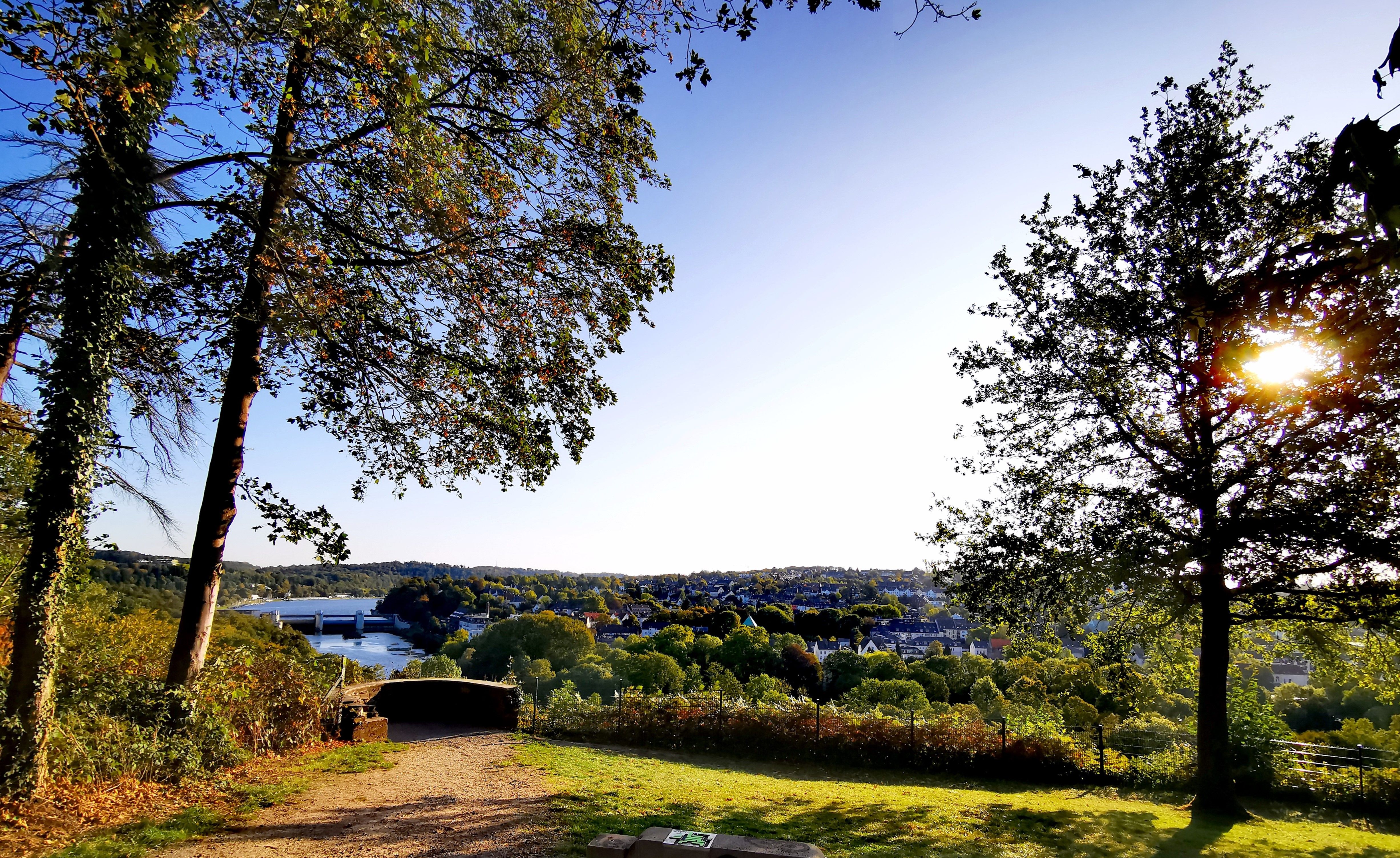 View of the Heissiwald forest on the Baldeneysteig trail