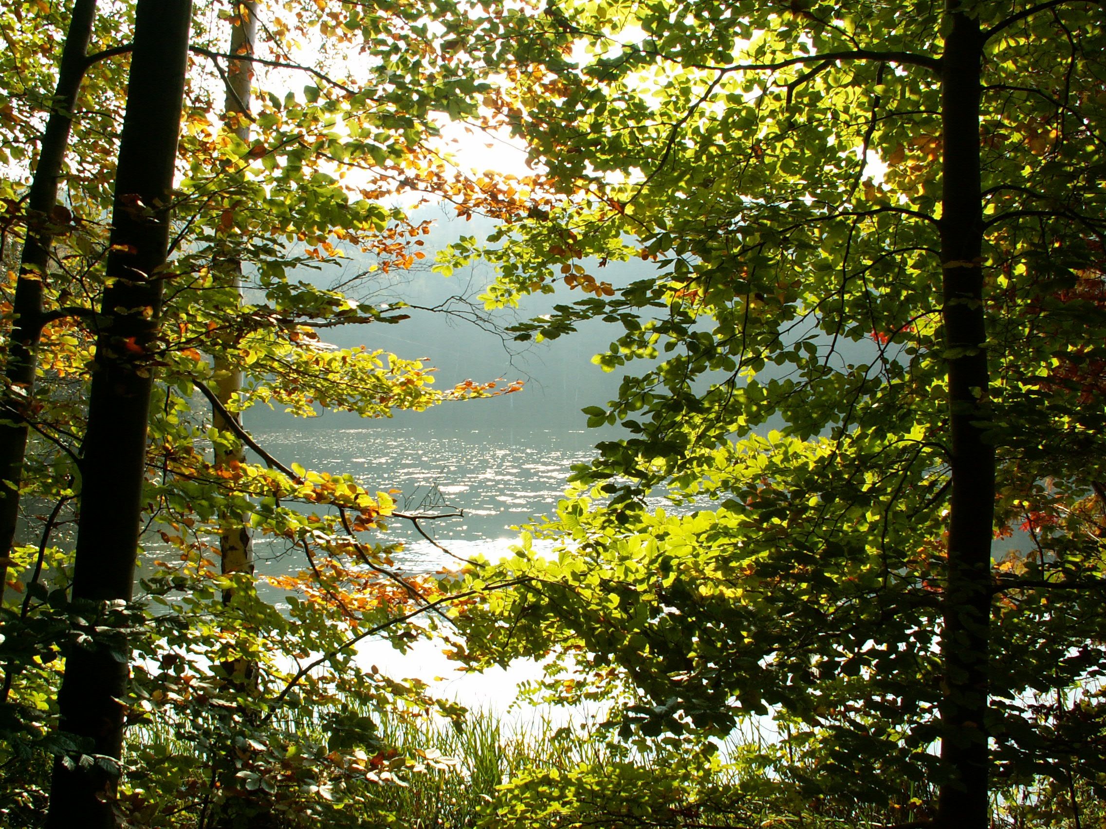 Lakes in the Rhineland Nature Park