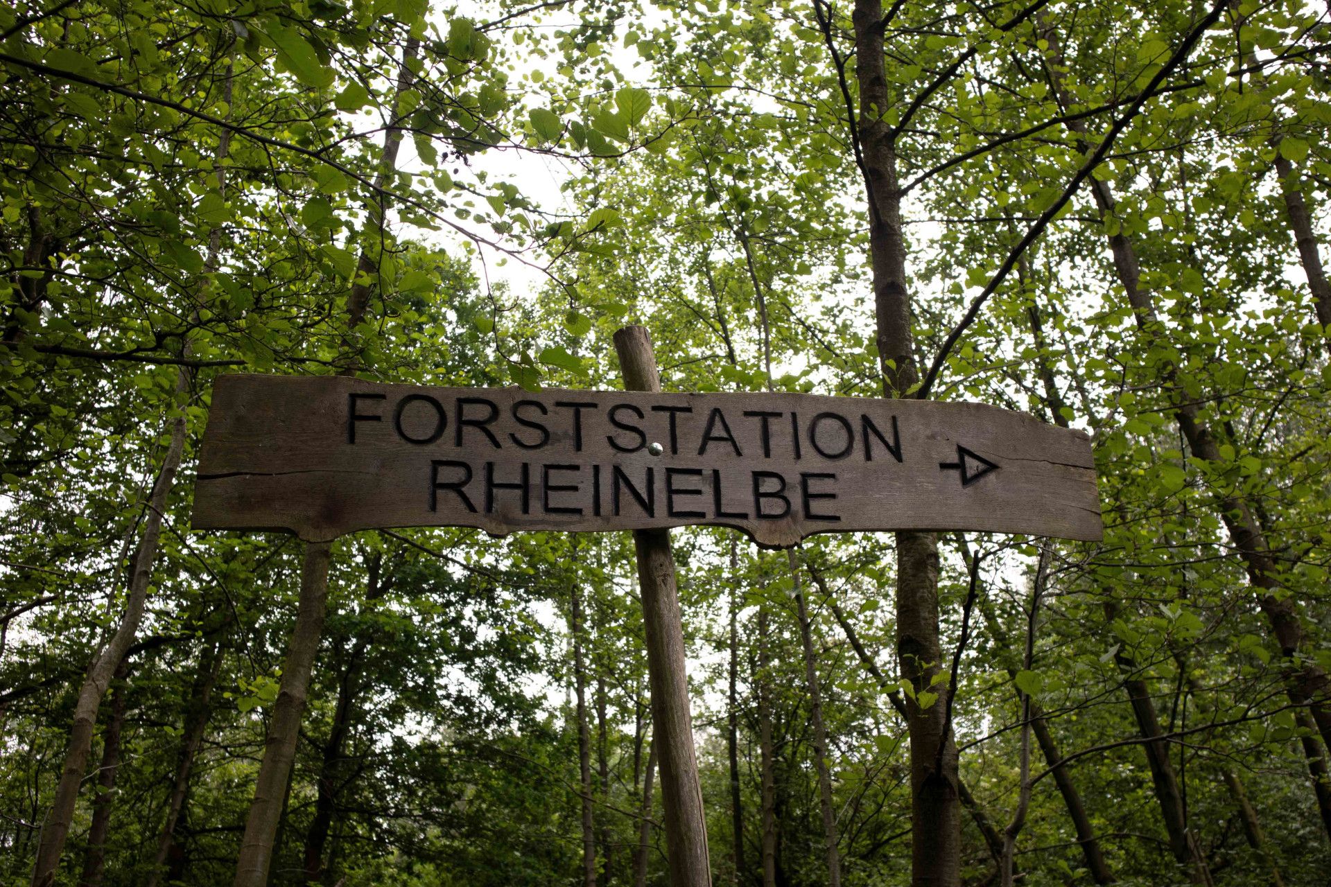 Forststation Schild Gelsenkirchen