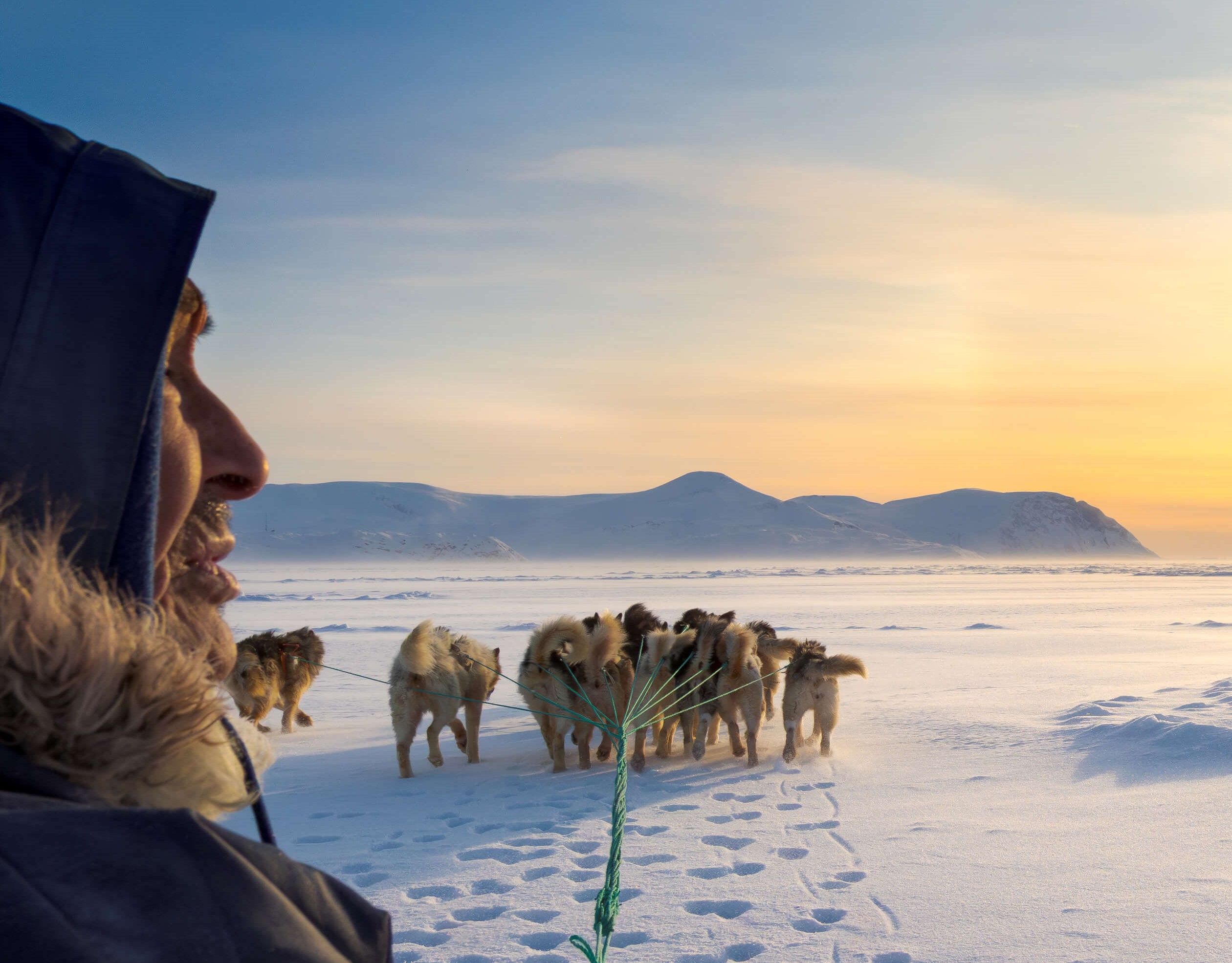 Ice Age Journey Greenland - special exhibition at the Neanderthal Museum in Mettmann