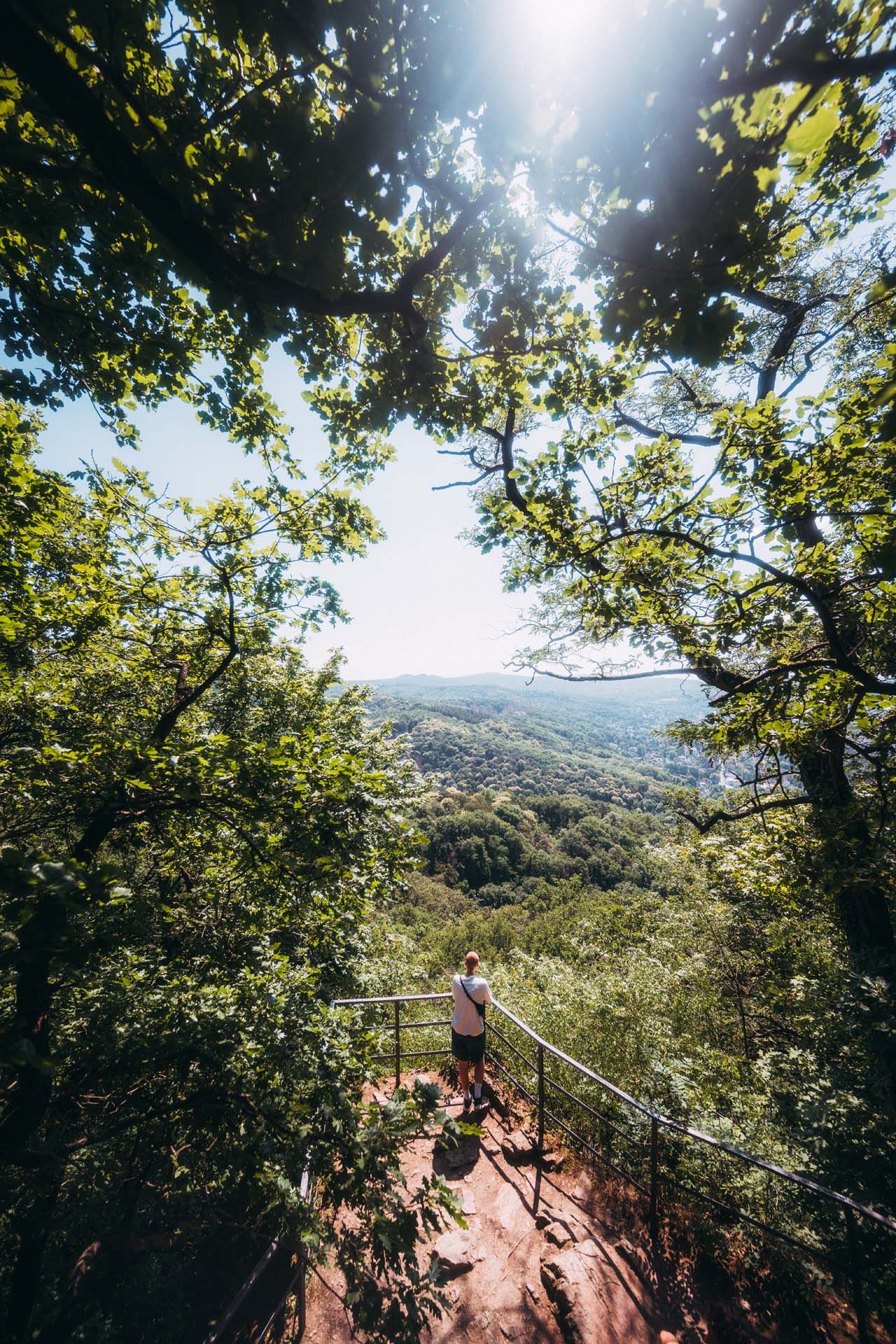 Viewpoint on the Beethoven hiking trail