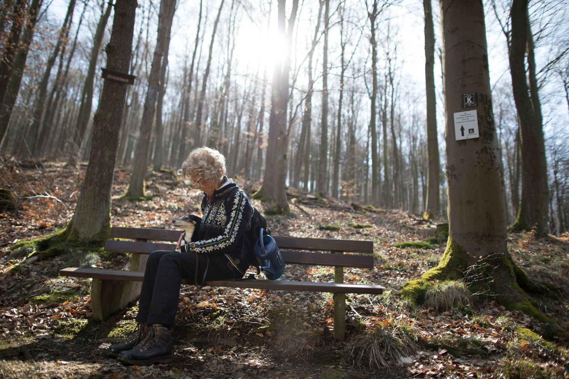 Gudrun Hagemeister auf Bank in Wald im Sauerland