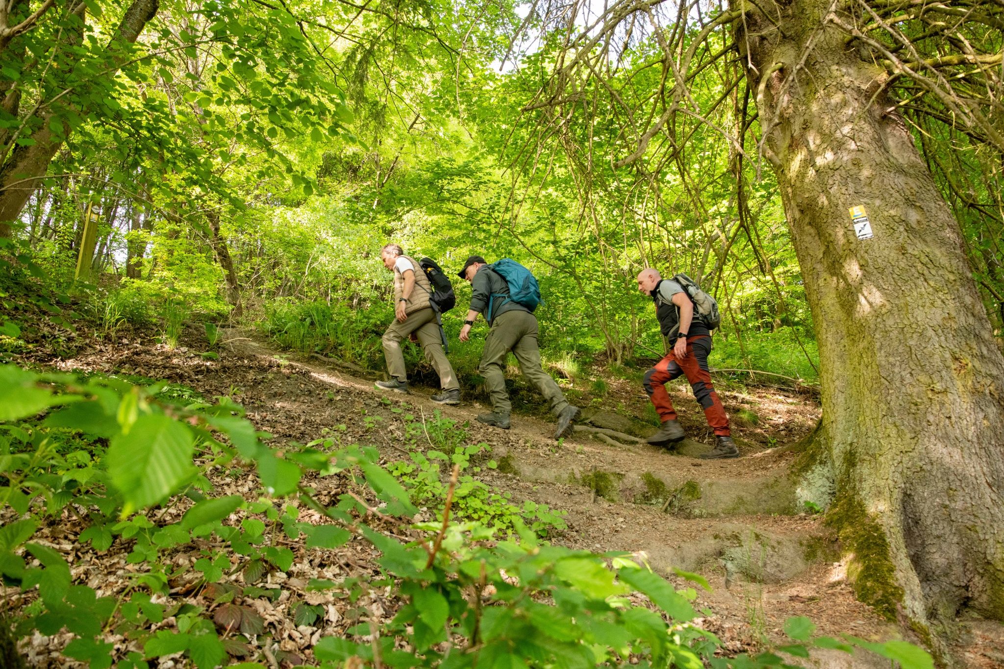 Hikers on the Wittgenstein slate trail