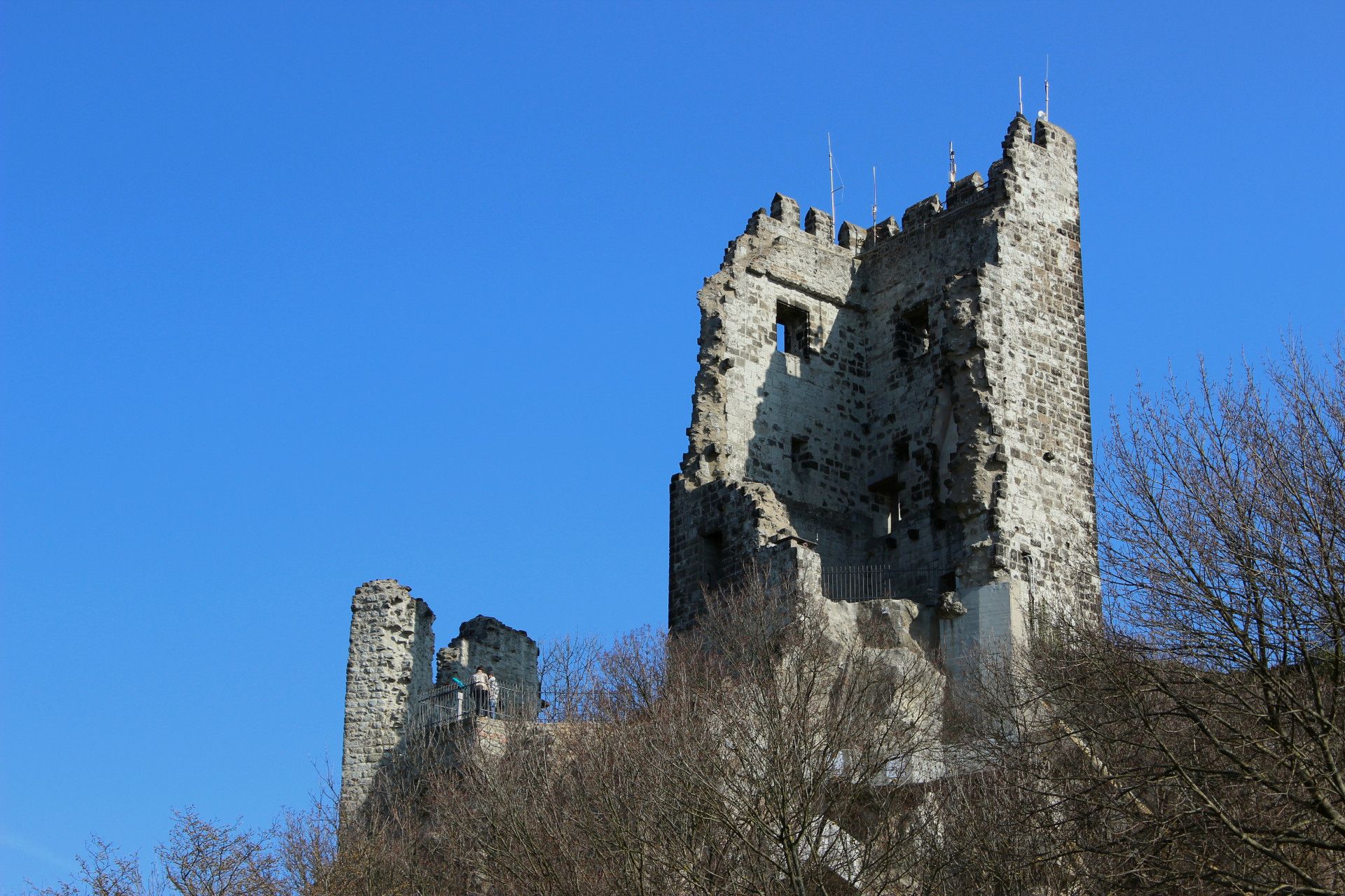 Beethovenwanderweg Drachenfels