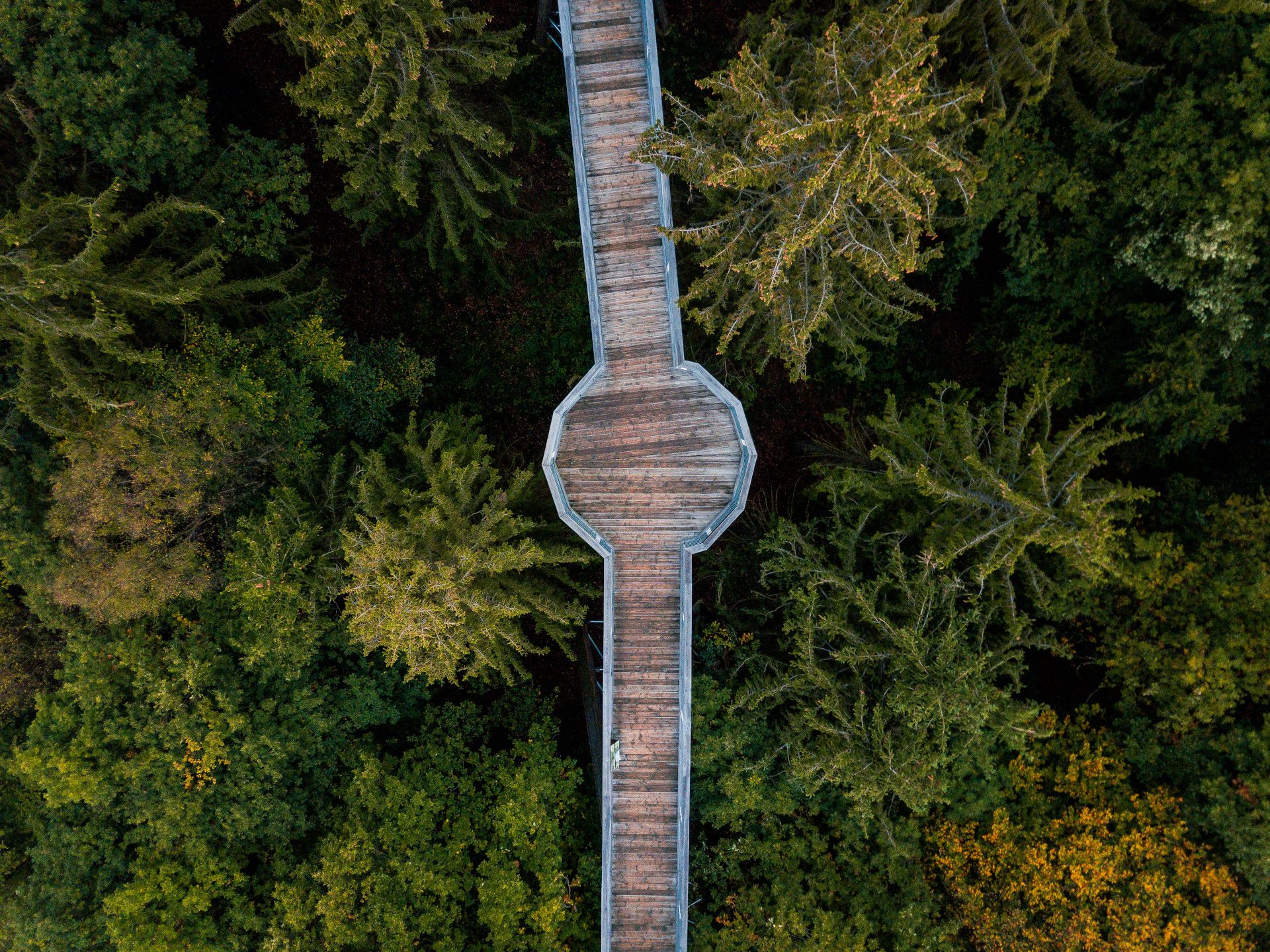 Panarbora treetop walk bird's eye view, Waldbröl, Bergisches Land