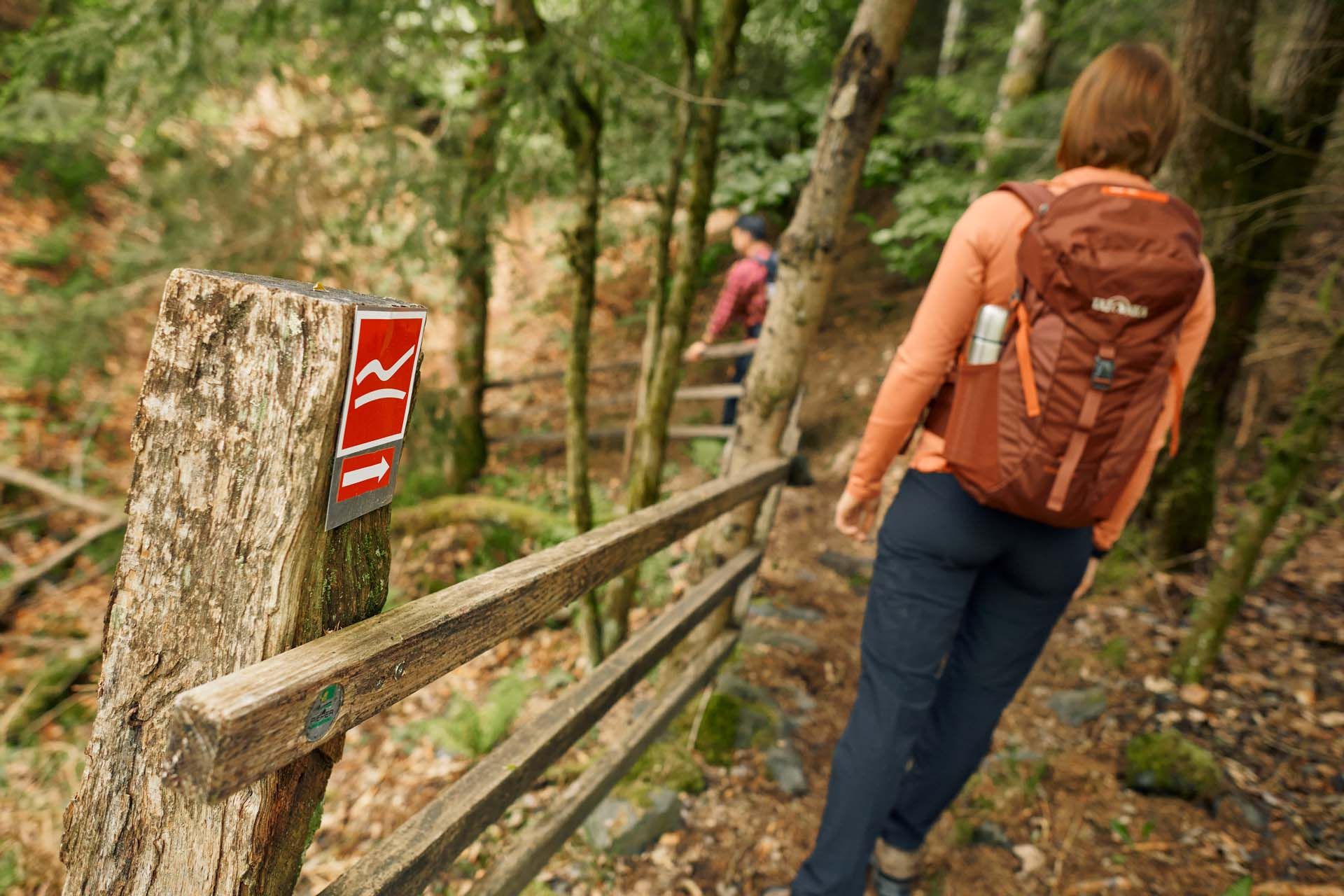 Hiking in the Sauerland Rothaargebirge Nature Park