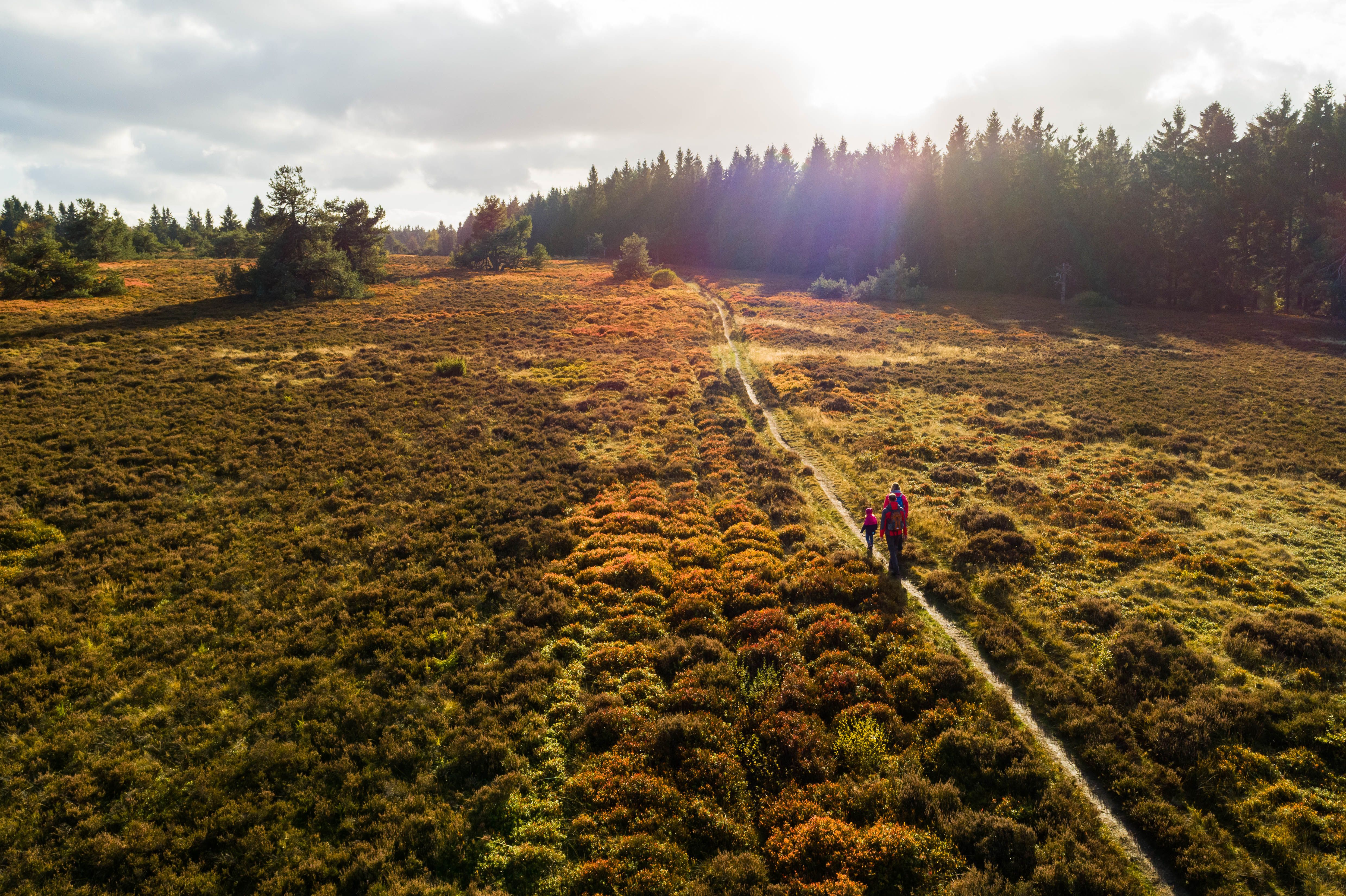 Sauerland Winterberg Niedersfeld Goldener Pfad